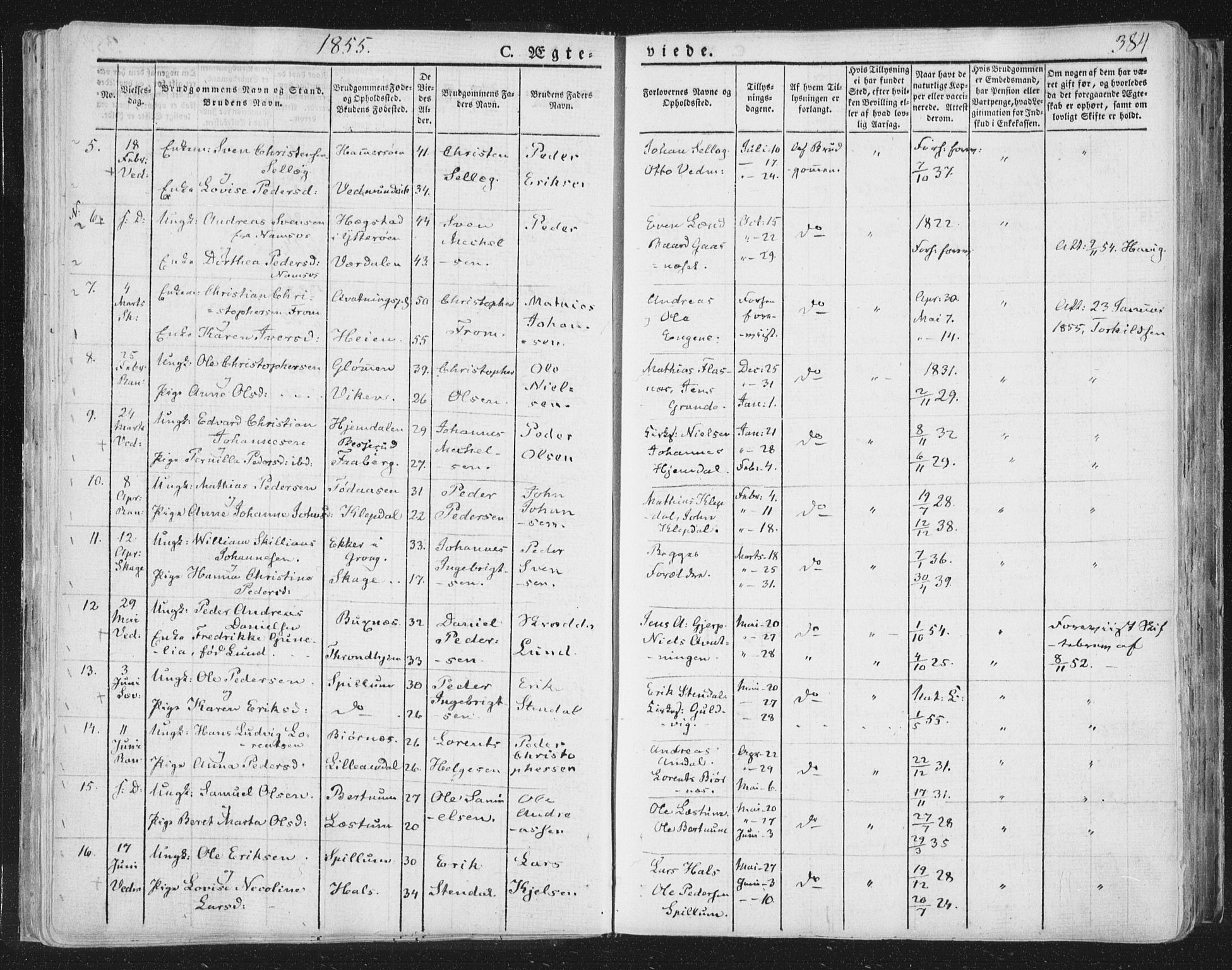 Ministerialprotokoller, klokkerbøker og fødselsregistre - Nord-Trøndelag, SAT/A-1458/764/L0552: Parish register (official) no. 764A07b, 1824-1865, p. 384