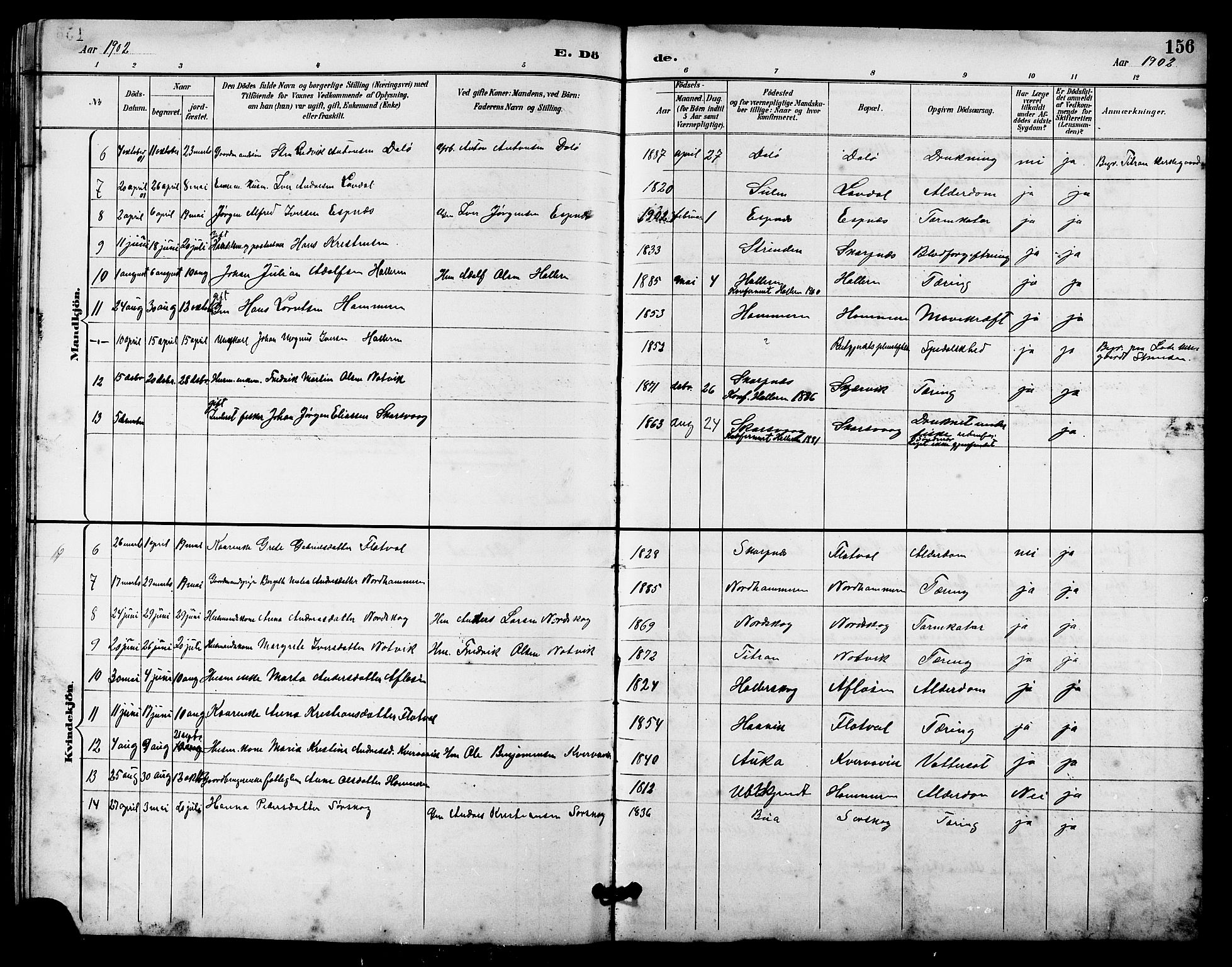 Ministerialprotokoller, klokkerbøker og fødselsregistre - Sør-Trøndelag, AV/SAT-A-1456/641/L0598: Parish register (copy) no. 641C02, 1893-1910, p. 156