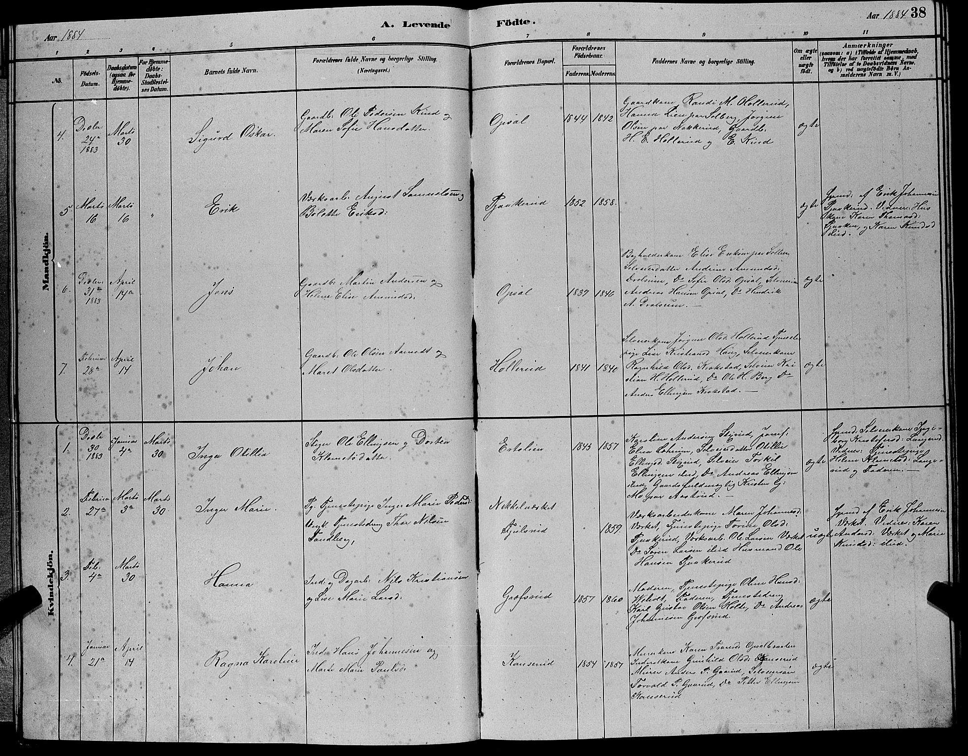 Hole kirkebøker, AV/SAKO-A-228/G/Gb/L0002: Parish register (copy) no. II 2, 1878-1889, p. 38