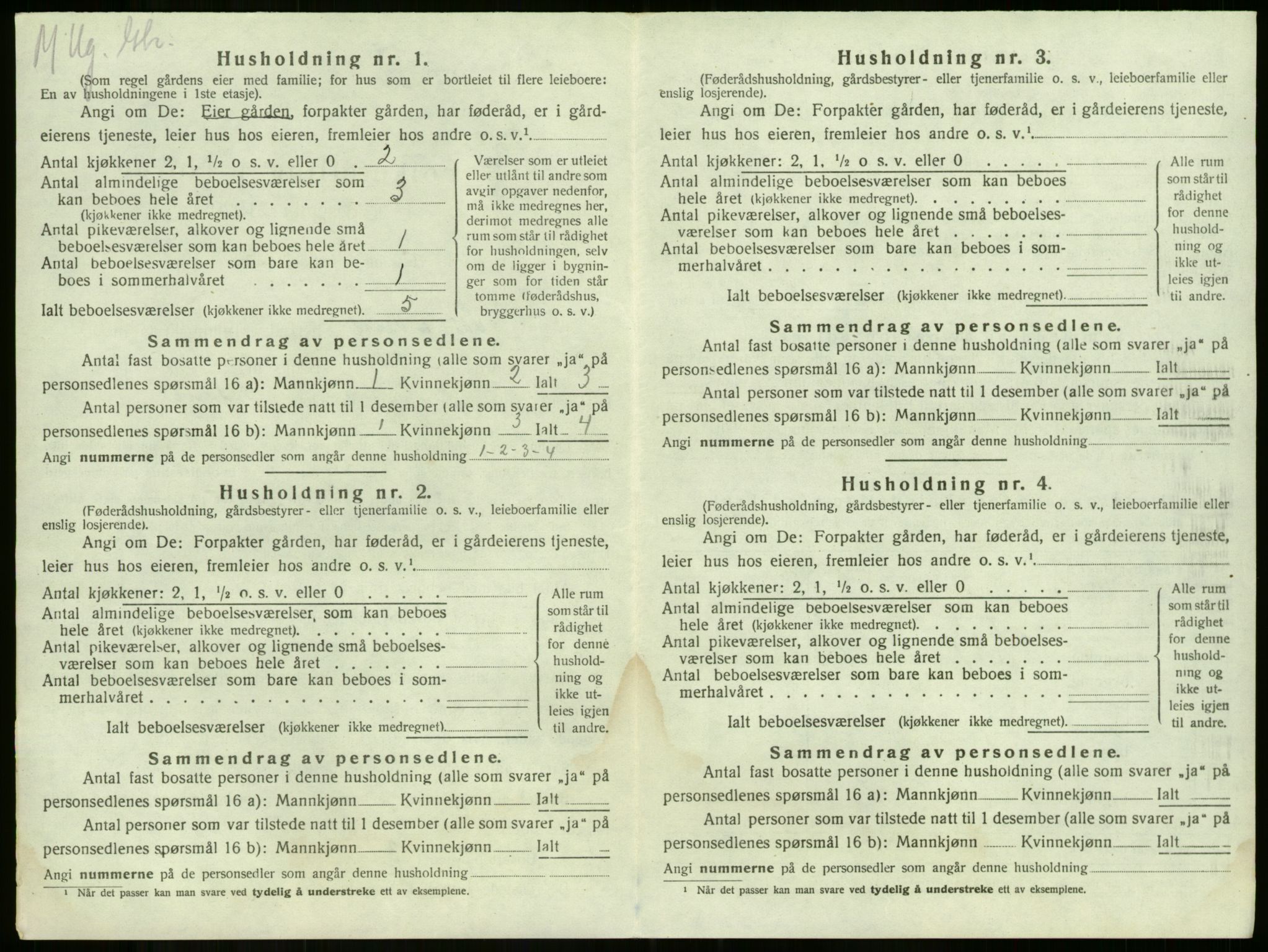 SAKO, 1920 census for Våle, 1920, p. 1011