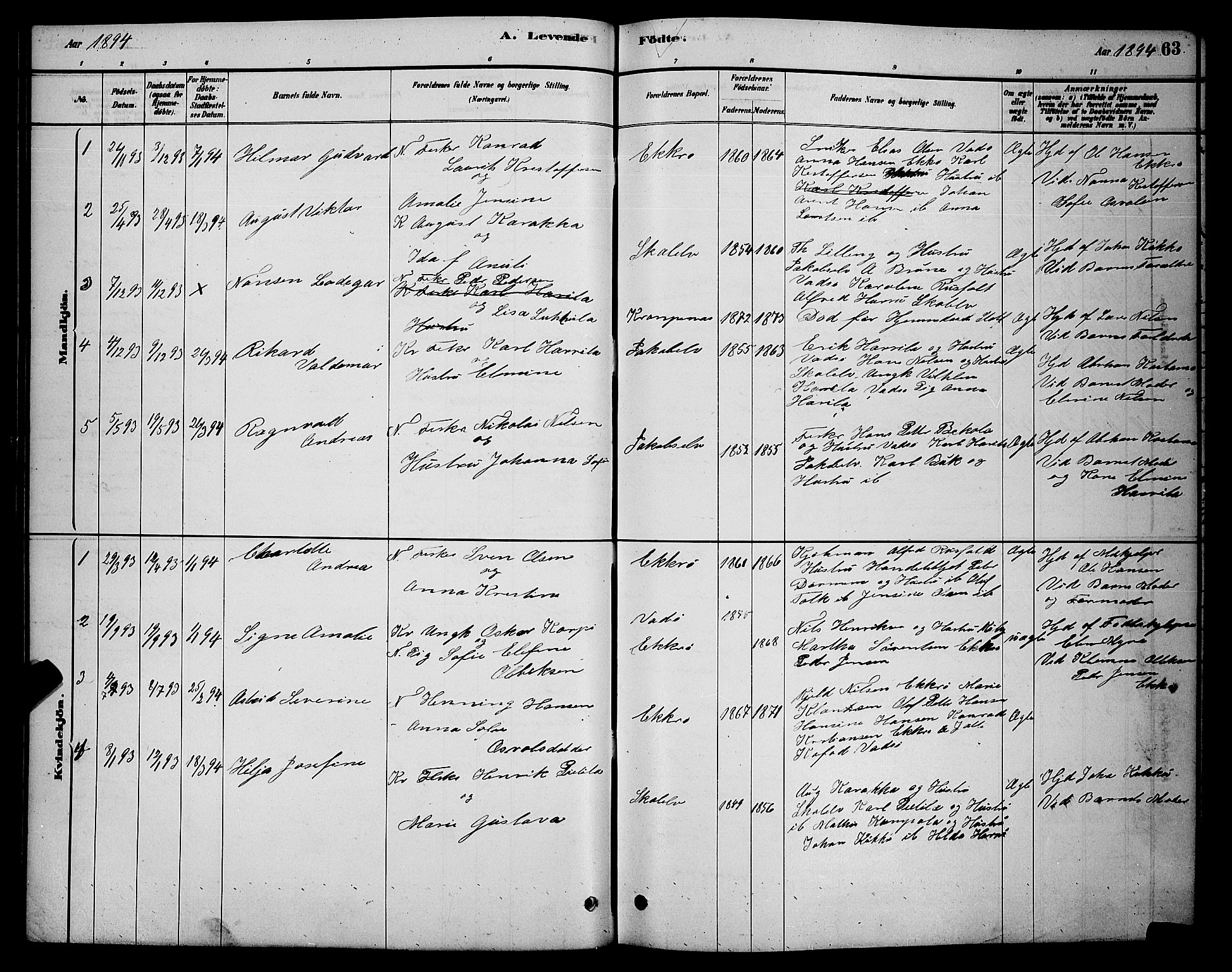 Vadsø sokneprestkontor, SATØ/S-1325/H/Hb/L0003klokker: Parish register (copy) no. 3, 1881-1901, p. 63