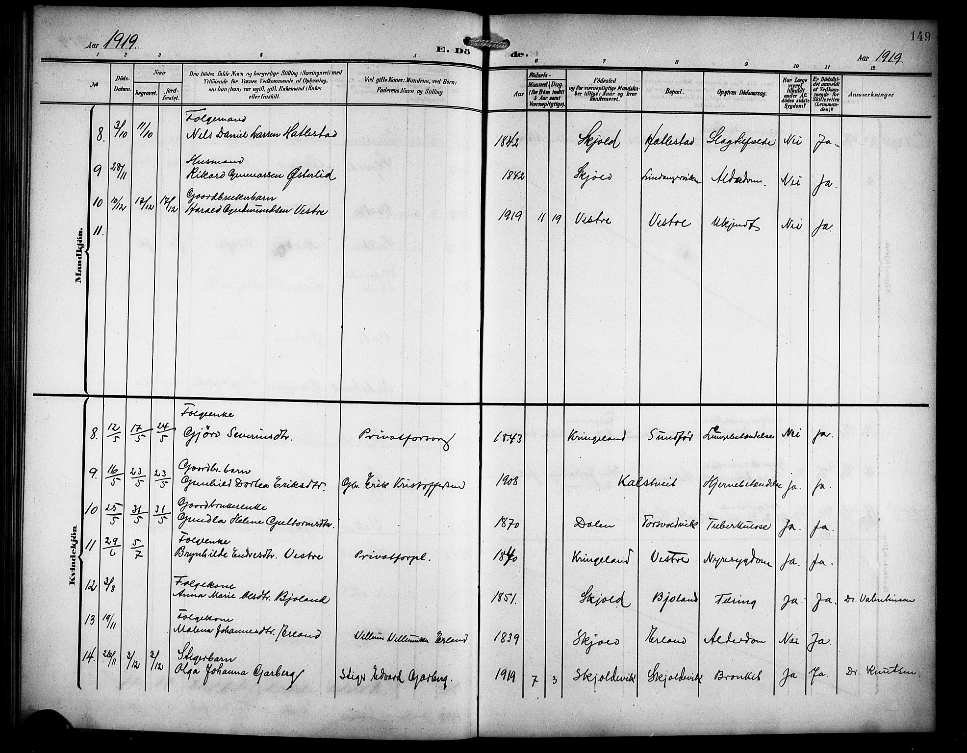 Skjold sokneprestkontor, AV/SAST-A-101847/H/Ha/Hab/L0008: Parish register (copy) no. B 8, 1906-1920, p. 149