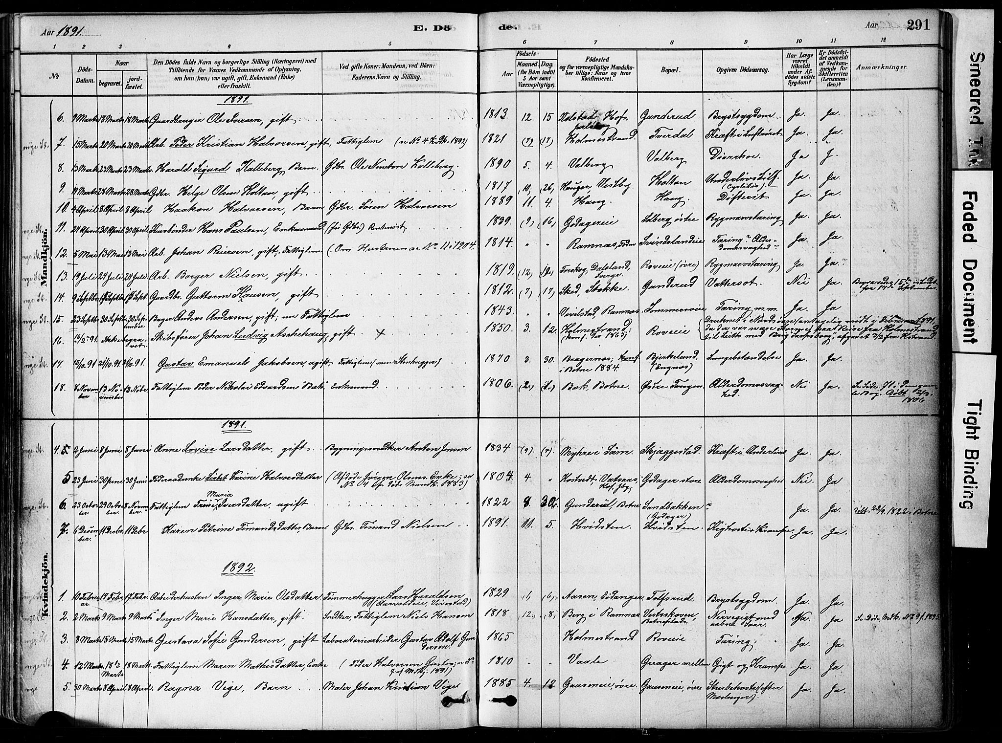 Botne kirkebøker, SAKO/A-340/F/Fa/L0007: Parish register (official) no. I 7, 1878-1910, p. 291