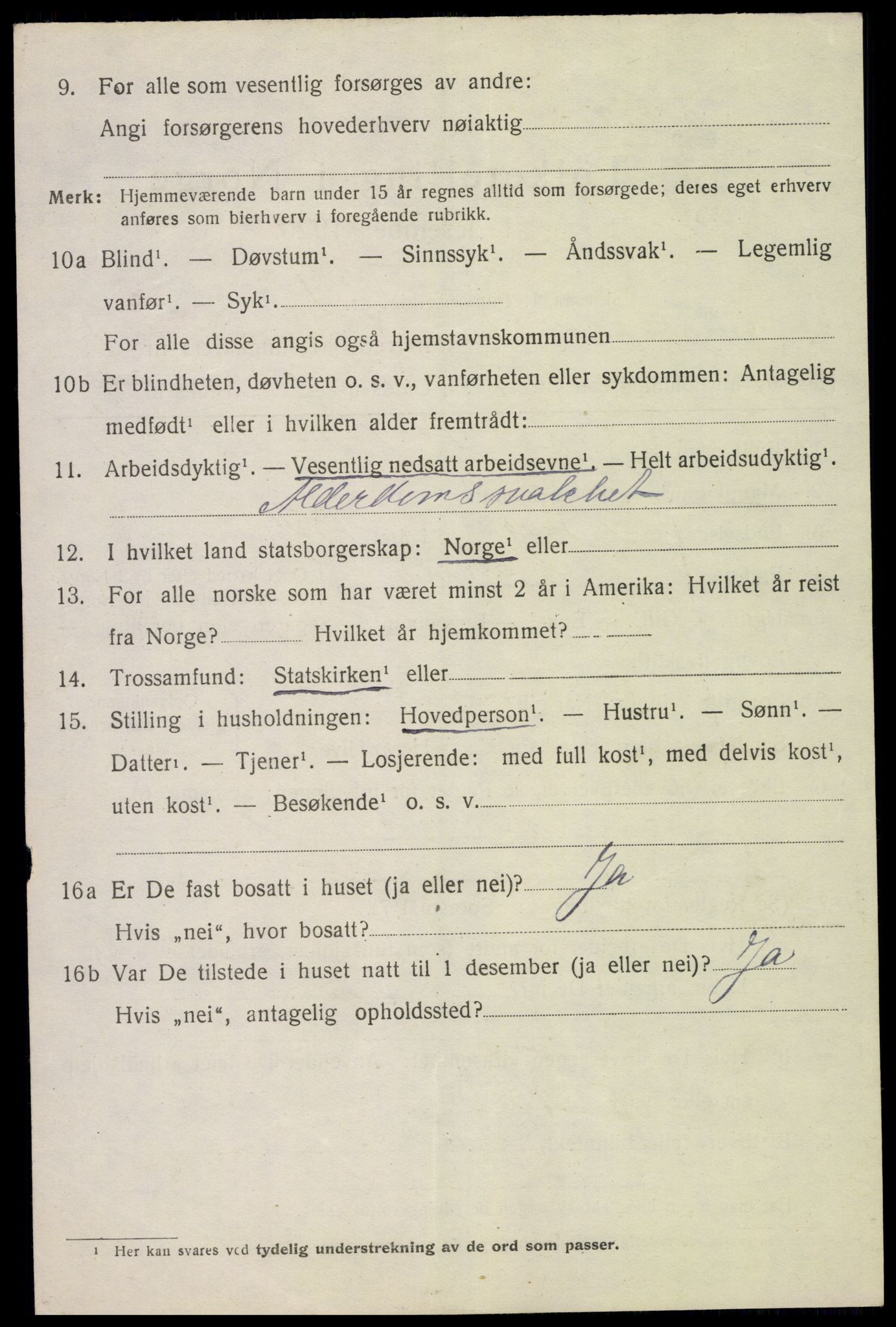 SAH, 1920 census for Nes (Hedmark), 1920, p. 1295
