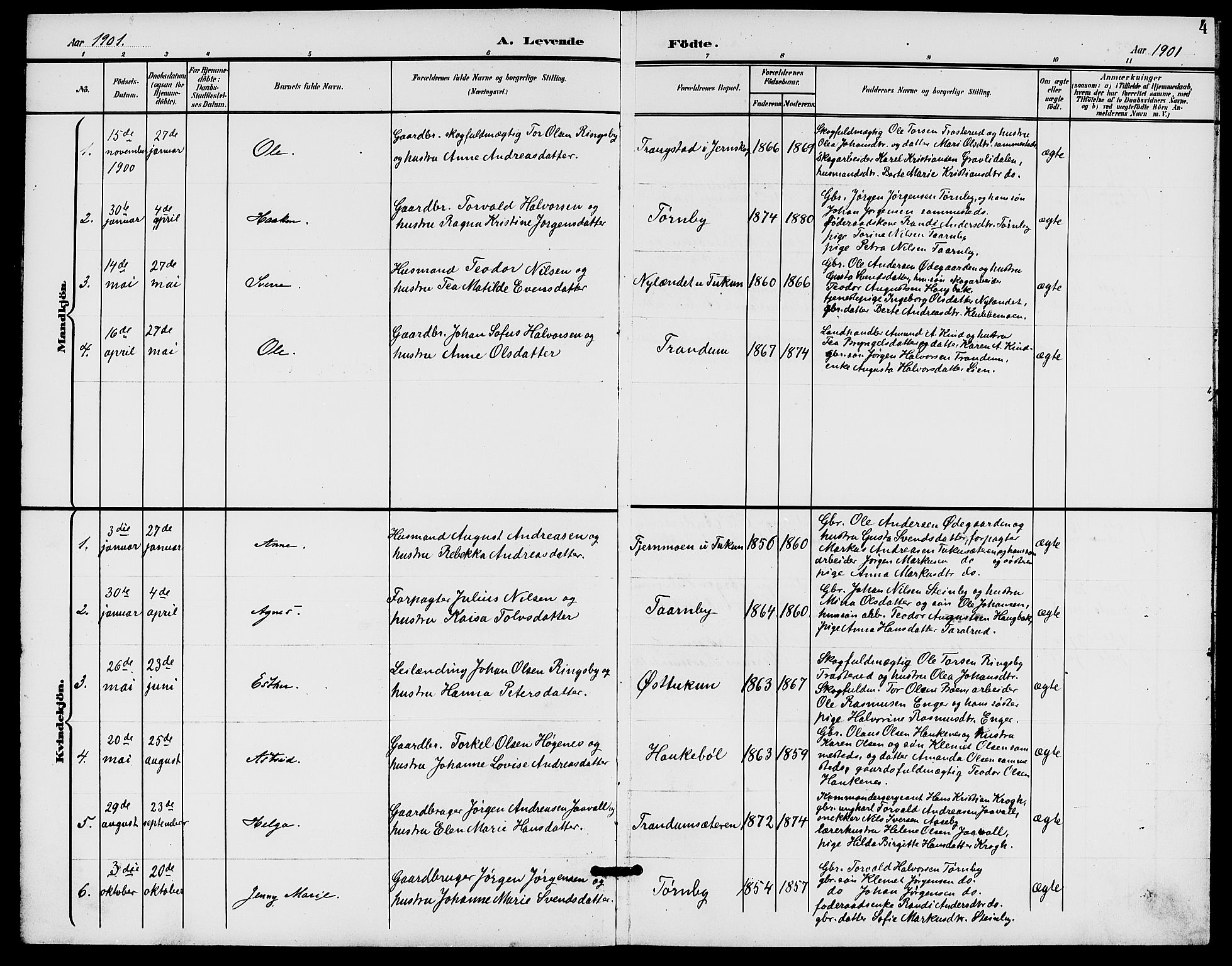 Rødenes prestekontor Kirkebøker, AV/SAO-A-2005/G/Gb/L0001: Parish register (copy) no. II 1, 1901-1910, p. 4