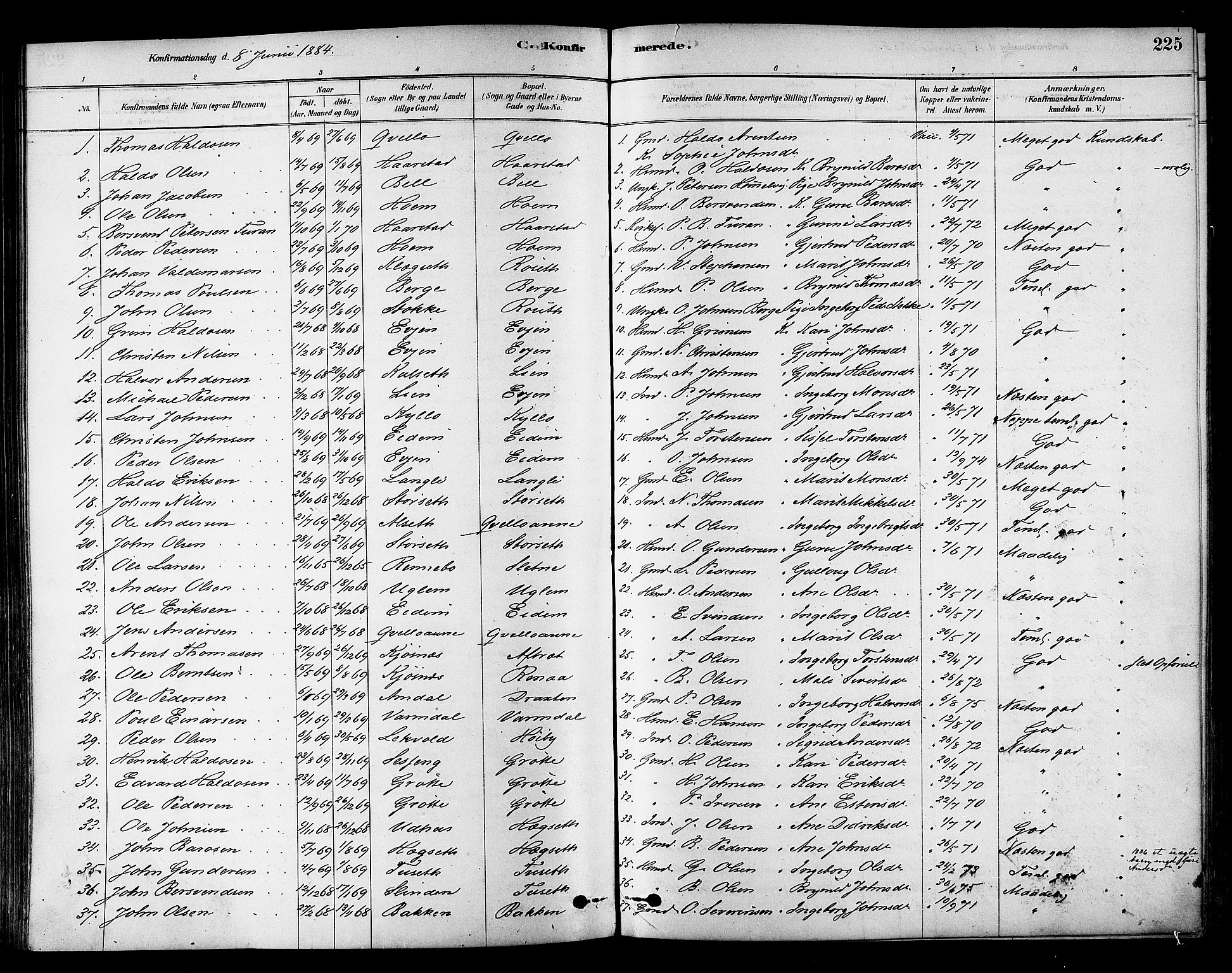 Ministerialprotokoller, klokkerbøker og fødselsregistre - Sør-Trøndelag, SAT/A-1456/695/L1148: Parish register (official) no. 695A08, 1878-1891, p. 225