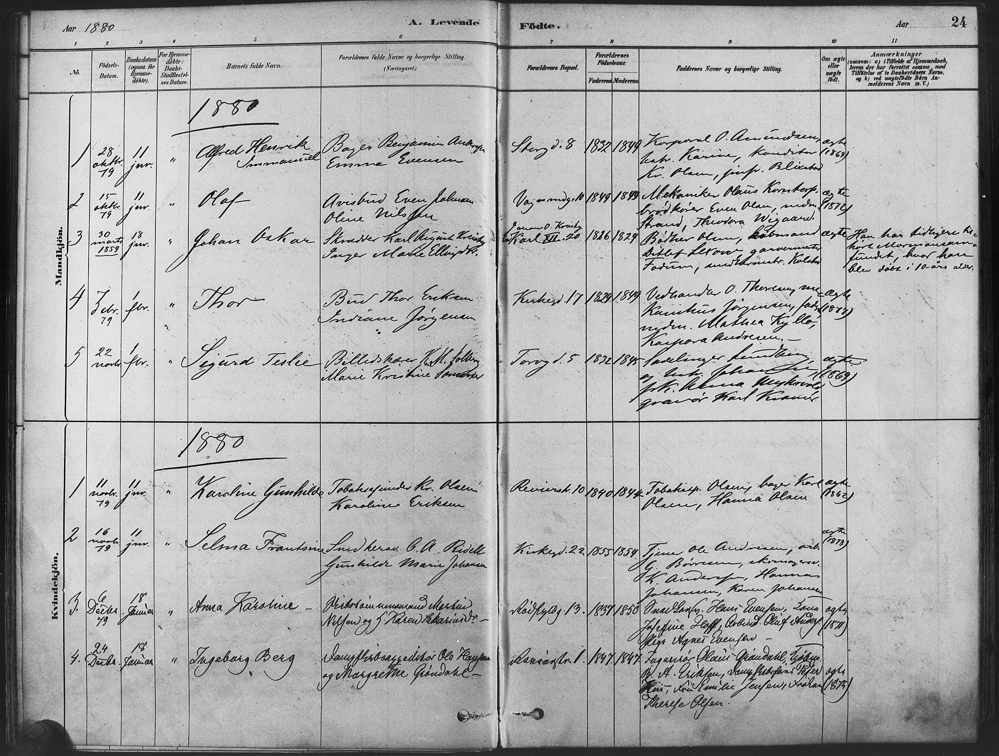 Oslo domkirke Kirkebøker, SAO/A-10752/F/Fa/L0029: Parish register (official) no. 29, 1879-1892, p. 24