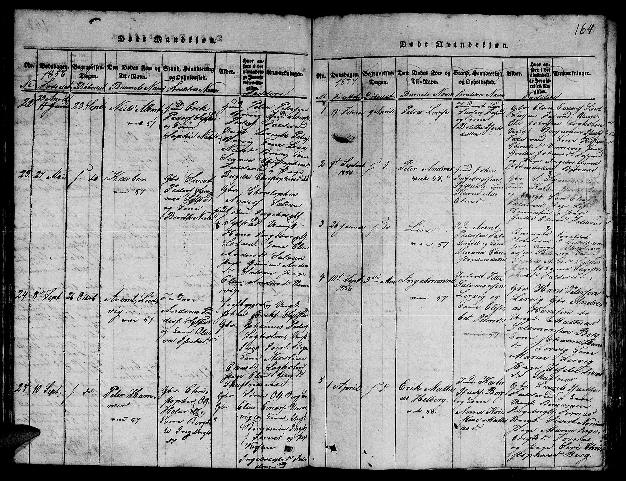 Ministerialprotokoller, klokkerbøker og fødselsregistre - Nord-Trøndelag, SAT/A-1458/780/L0648: Parish register (copy) no. 780C01 /3, 1815-1877, p. 164