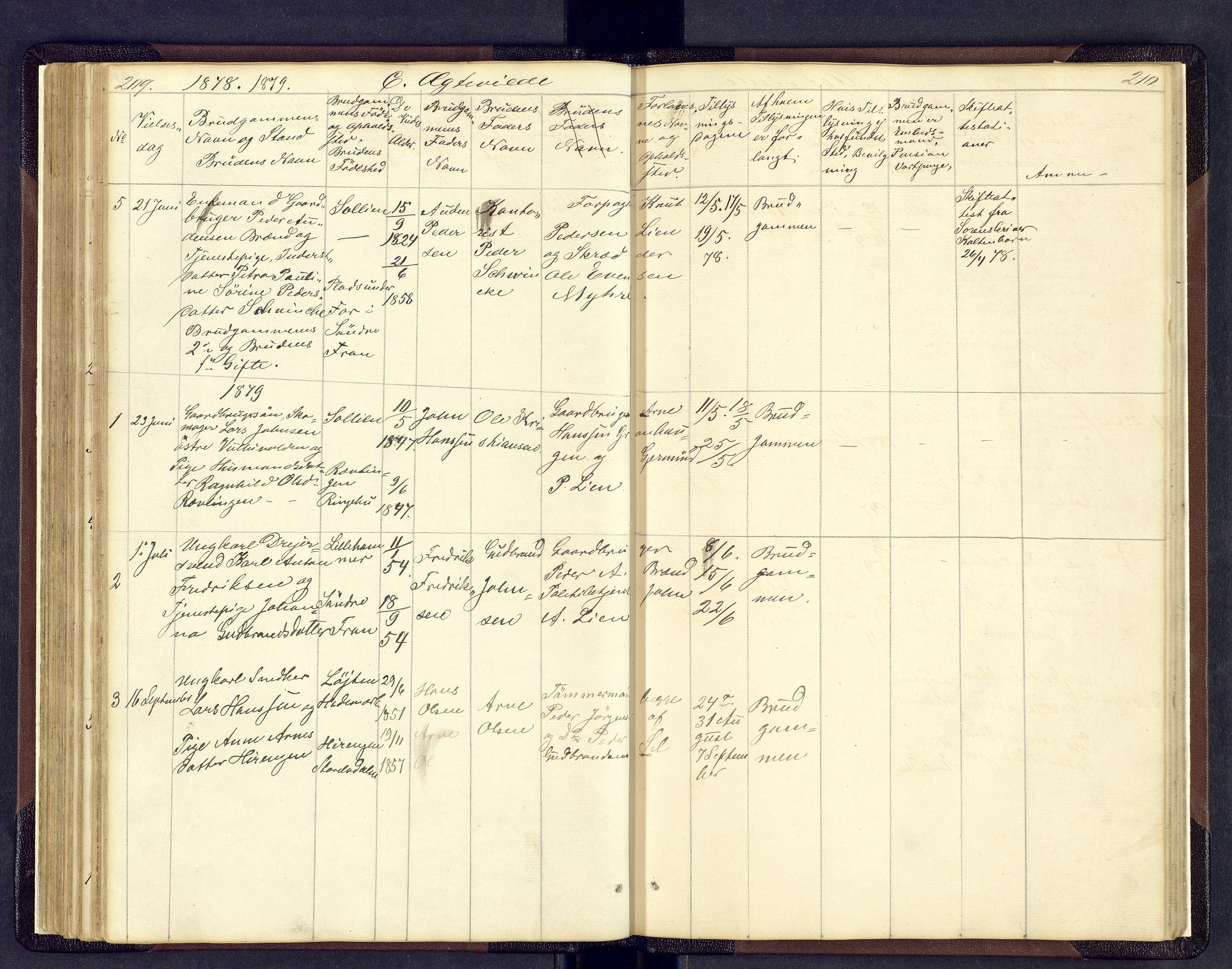 Sollia prestekontor, SAH/PREST-050/H/Ha/Hab/L0001: Parish register (copy) no. 1, 1862-1879, p. 209-210