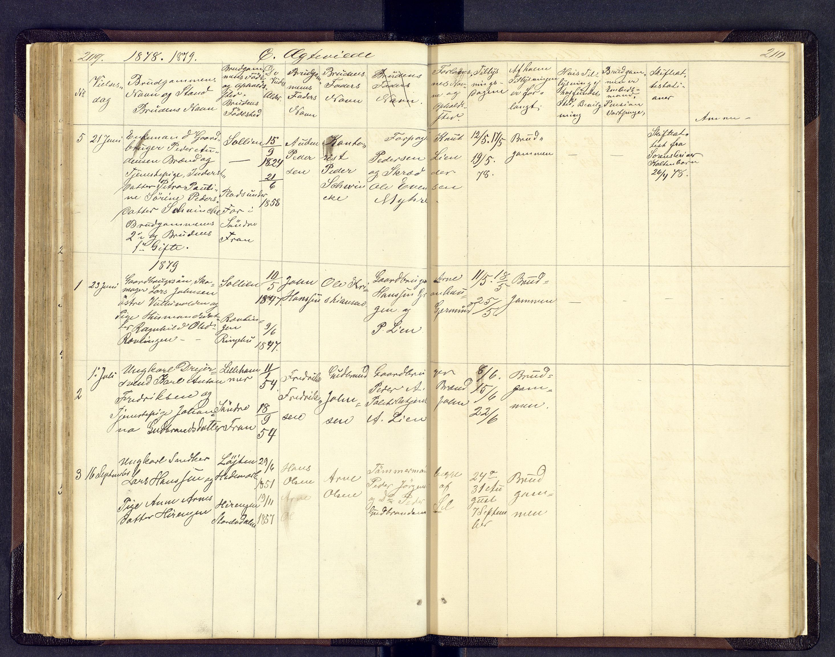 Sollia prestekontor, AV/SAH-PREST-050/H/Ha/Hab/L0001: Parish register (copy) no. 1, 1862-1879, p. 209-210