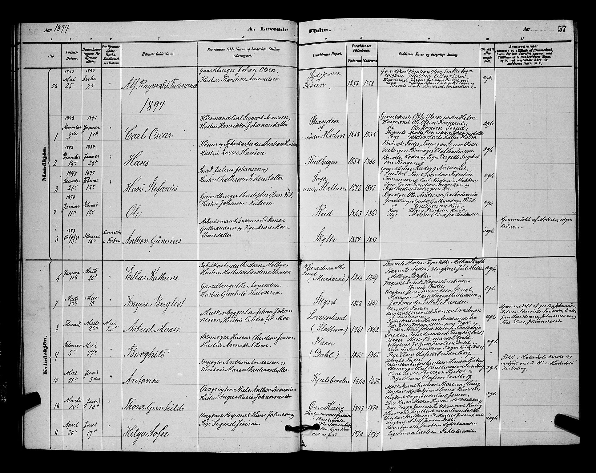 Nittedal prestekontor Kirkebøker, SAO/A-10365a/G/Ga/L0002: Parish register (copy) no. I 2, 1879-1901, p. 57