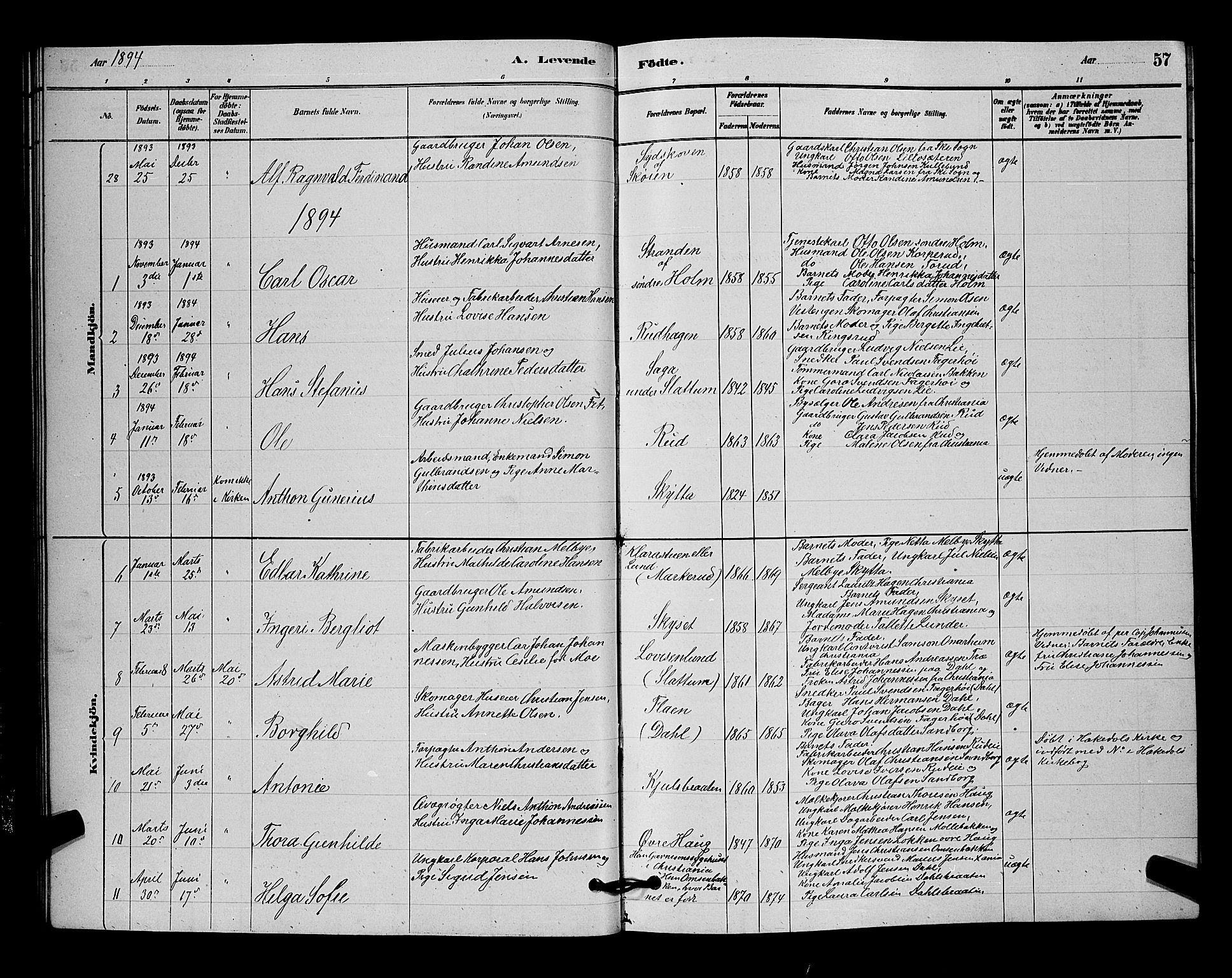 Nittedal prestekontor Kirkebøker, AV/SAO-A-10365a/G/Ga/L0002: Parish register (copy) no. I 2, 1879-1901, p. 57