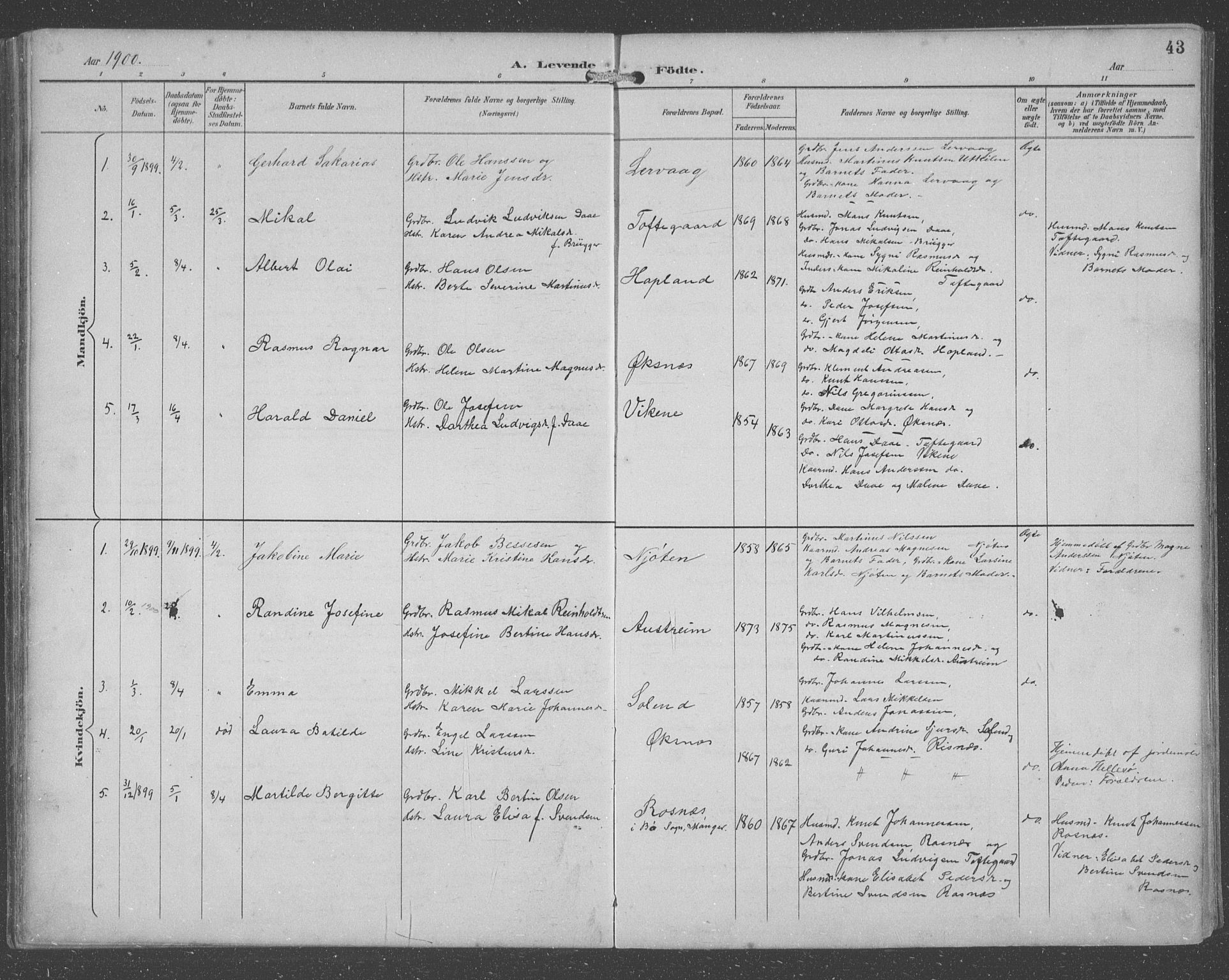 Lindås Sokneprestembete, SAB/A-76701/H/Hab: Parish register (copy) no. C 4, 1894-1910, p. 43