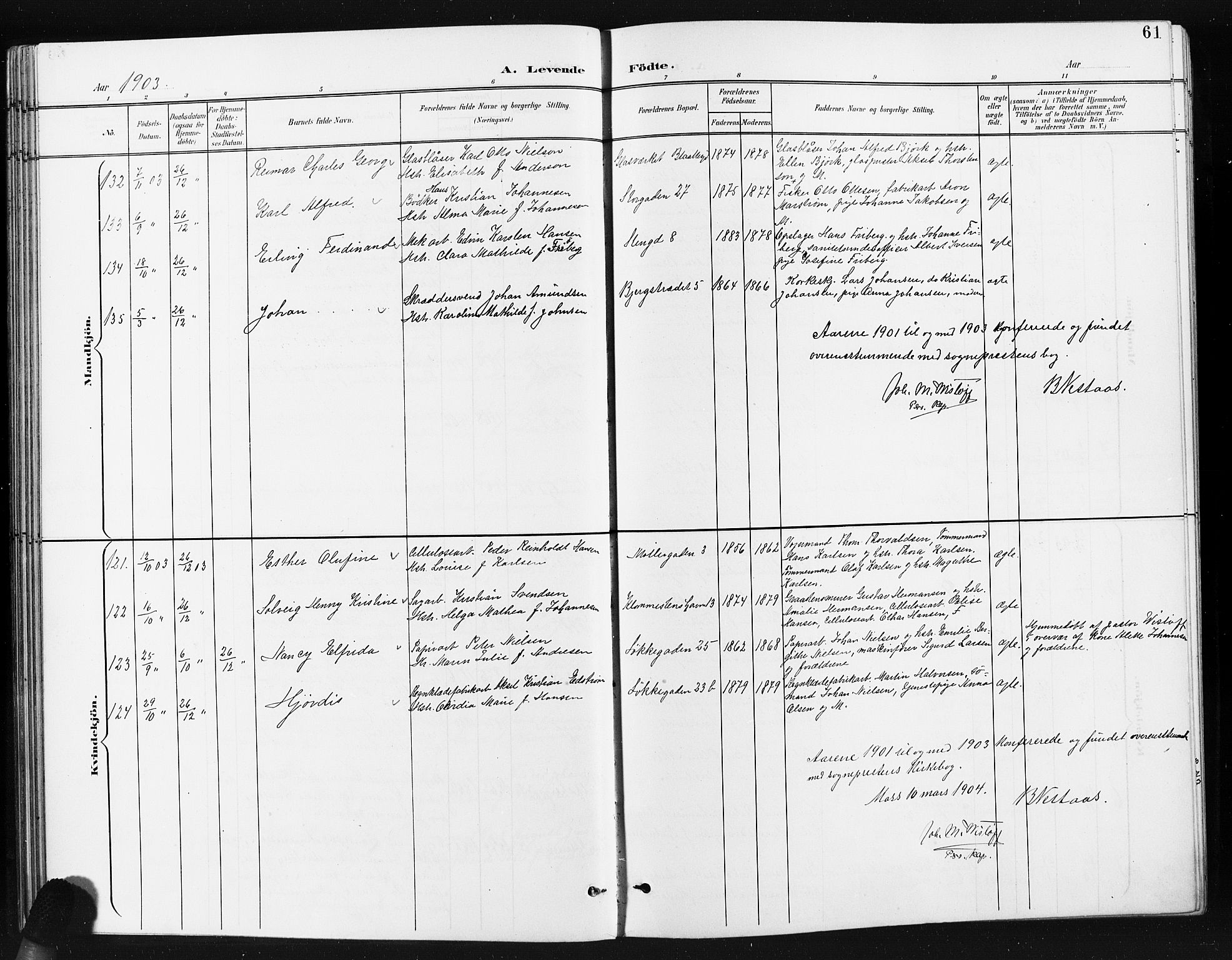 Moss prestekontor Kirkebøker, SAO/A-2003/G/Ga/L0007: Parish register (copy) no. I 7, 1901-1912, p. 61