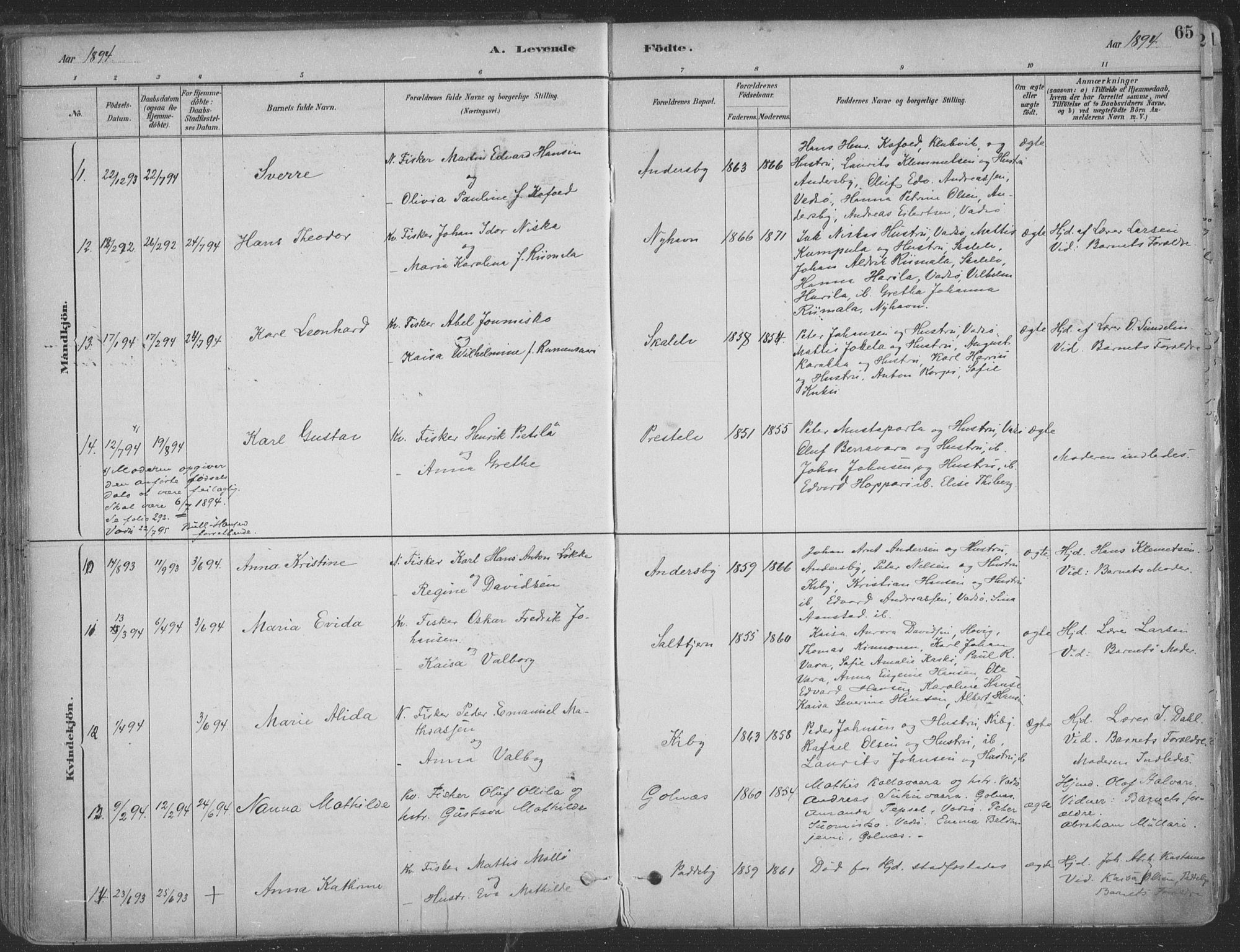 Vadsø sokneprestkontor, SATØ/S-1325/H/Ha/L0009kirke: Parish register (official) no. 9, 1881-1917, p. 65