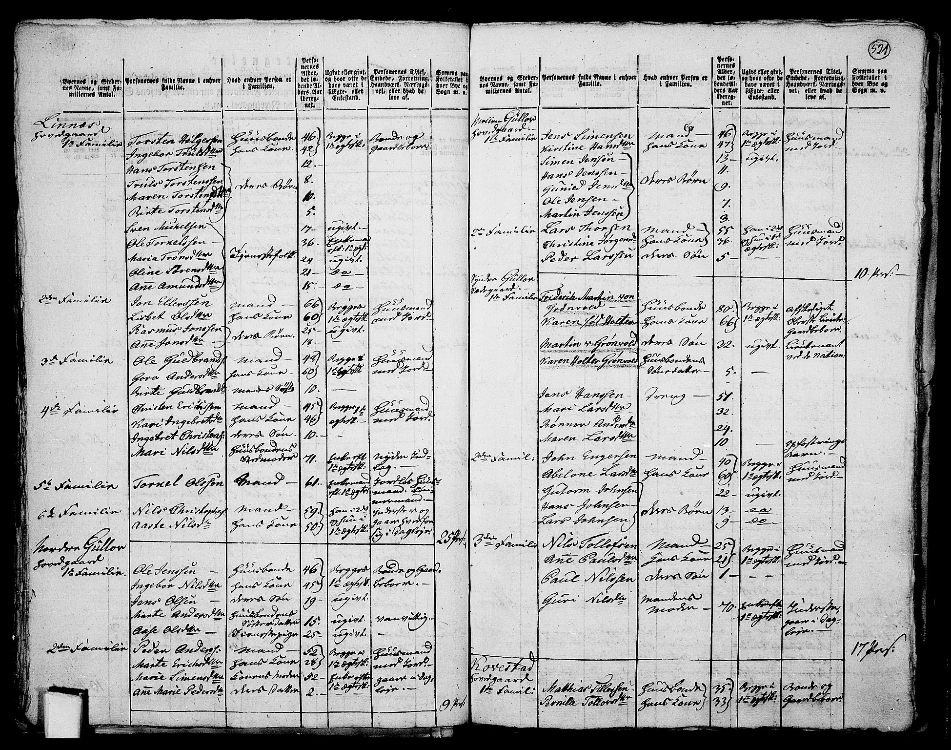 RA, 1801 census for 0626P Lier, 1801, p. 520b-521a