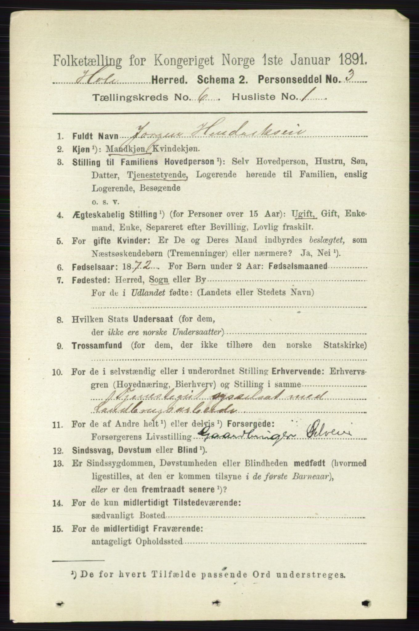 RA, 1891 census for 0612 Hole, 1891, p. 3106