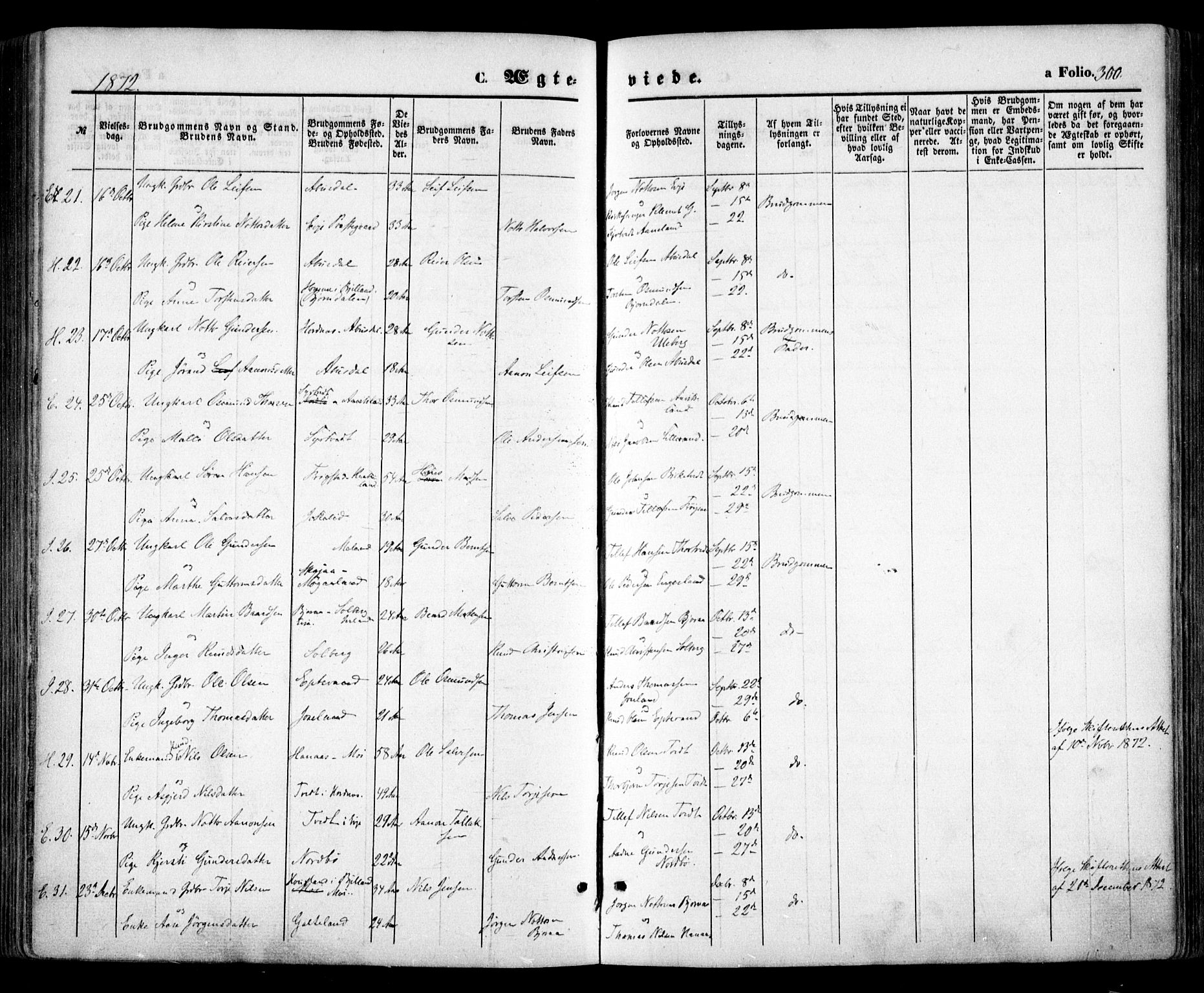 Evje sokneprestkontor, AV/SAK-1111-0008/F/Fa/Faa/L0006: Parish register (official) no. A 6, 1866-1884, p. 300