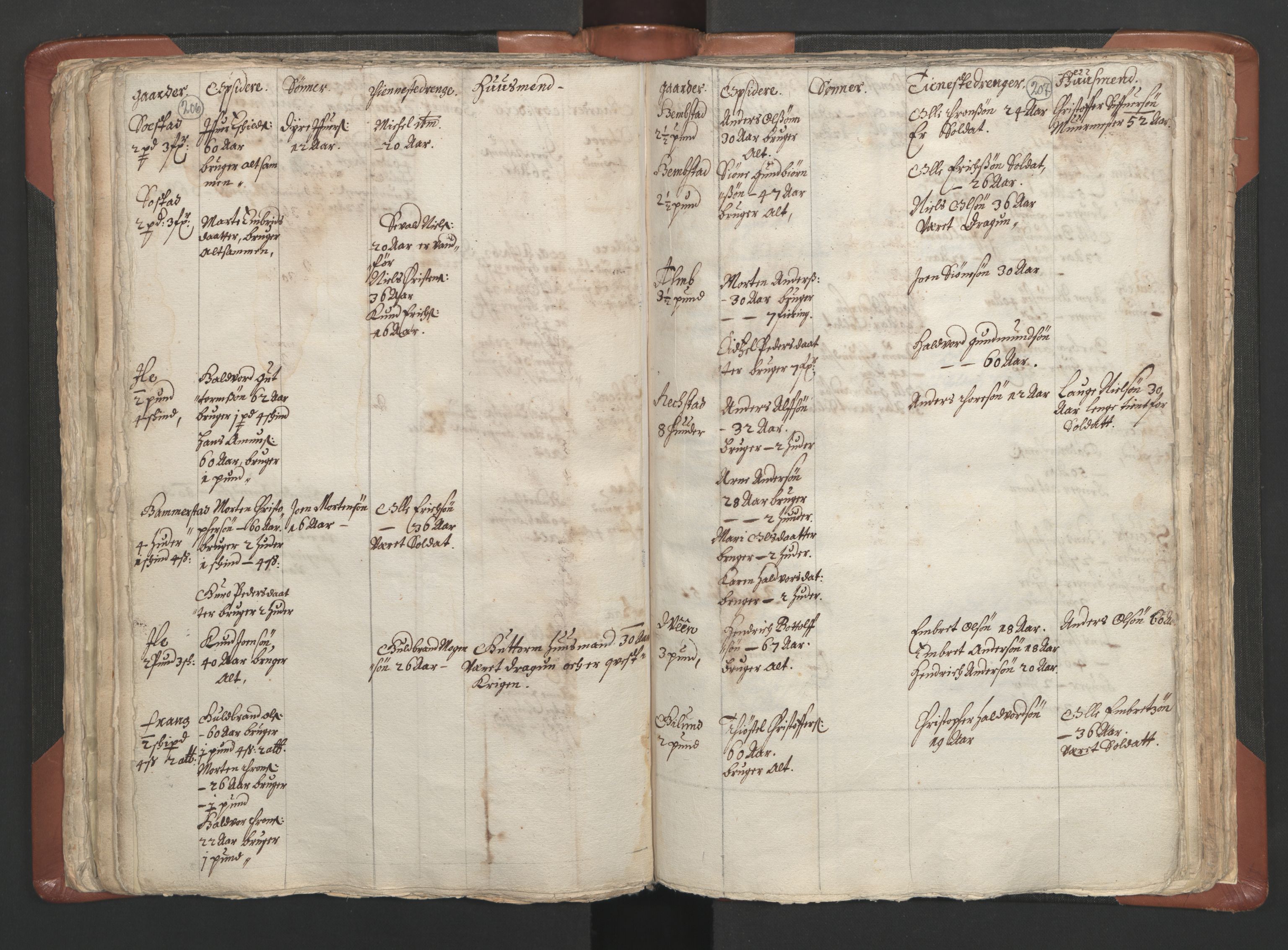 RA, Vicar's Census 1664-1666, no. 5: Hedmark deanery, 1664-1666, p. 206-207