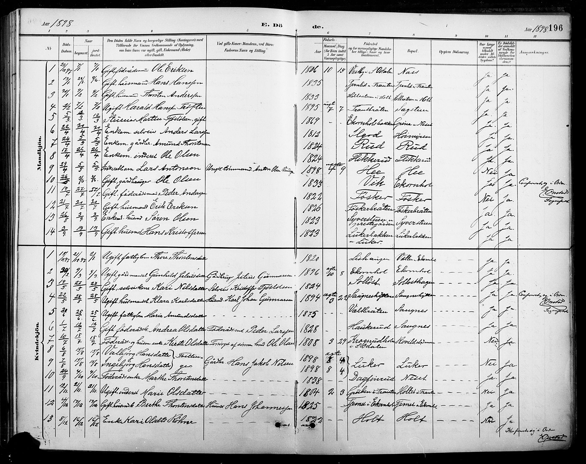 Nord-Odal prestekontor, AV/SAH-PREST-032/H/Ha/Hab/L0003: Parish register (copy) no. 3, 1895-1923, p. 196