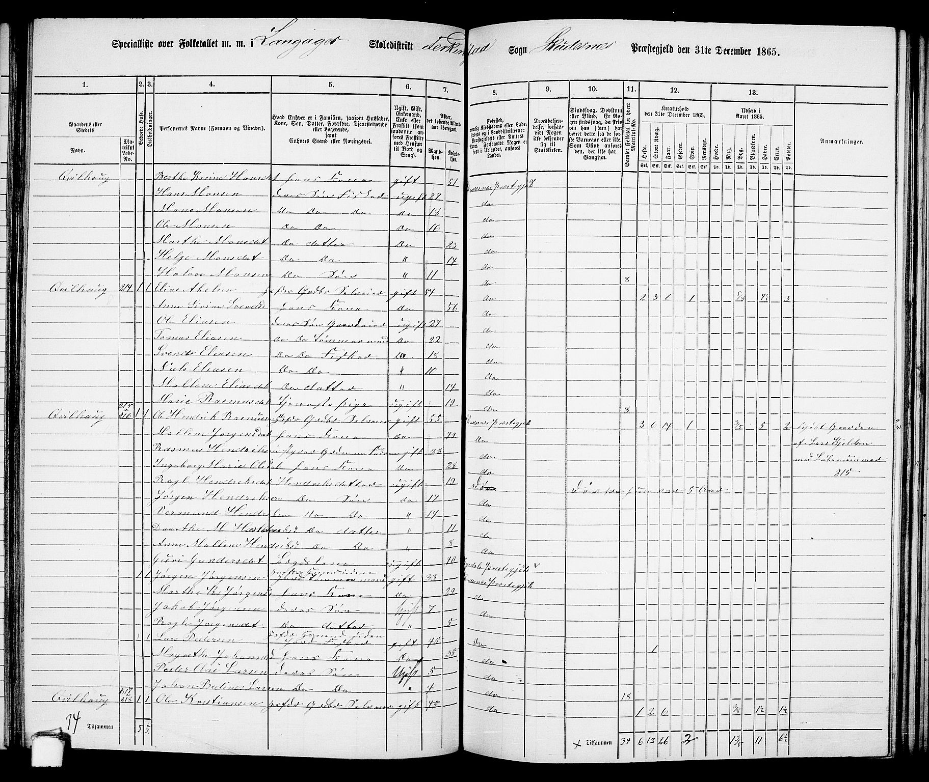 RA, 1865 census for Skudenes, 1865, p. 114