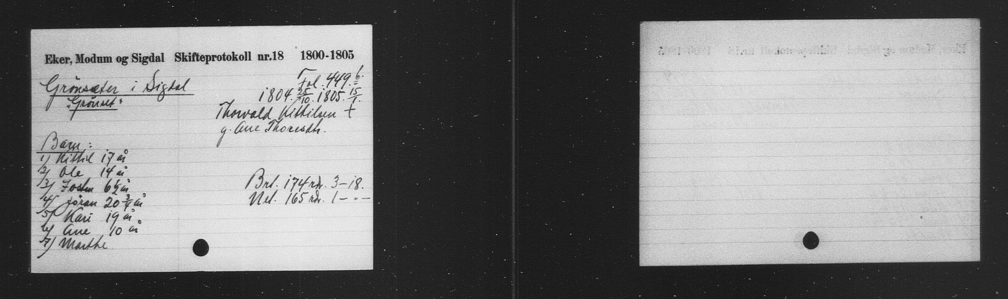 Eiker, Modum og Sigdal sorenskriveri, AV/SAKO-A-123/H, 1676-1828, p. 1580