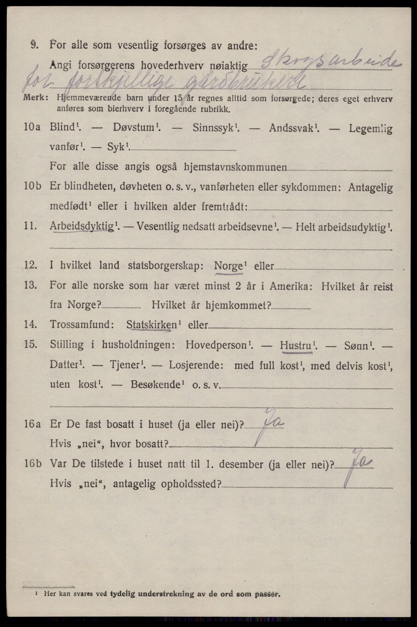 SAKO, 1920 census for Nissedal, 1920, p. 3024