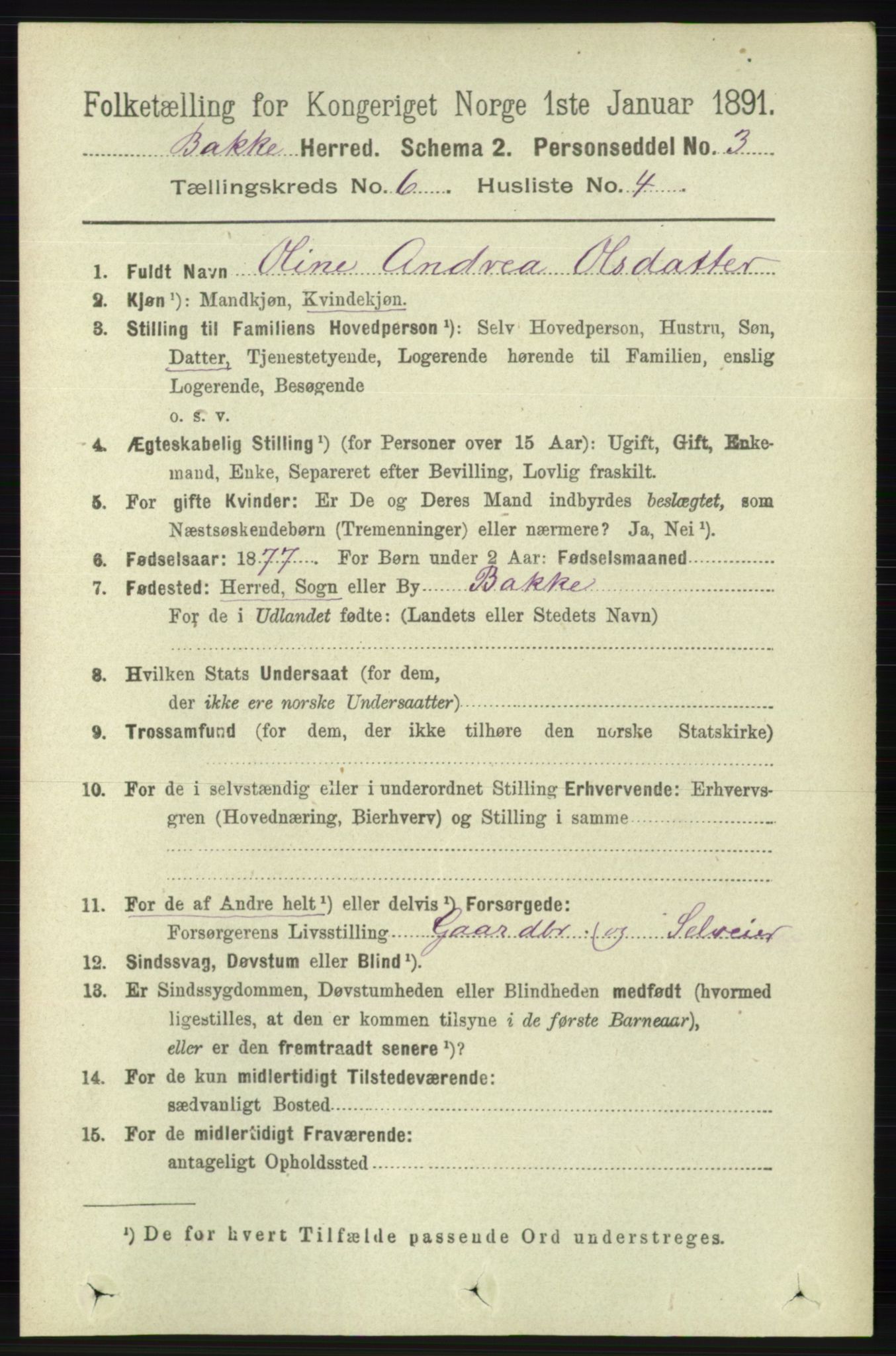 RA, 1891 census for 1045 Bakke, 1891, p. 1192