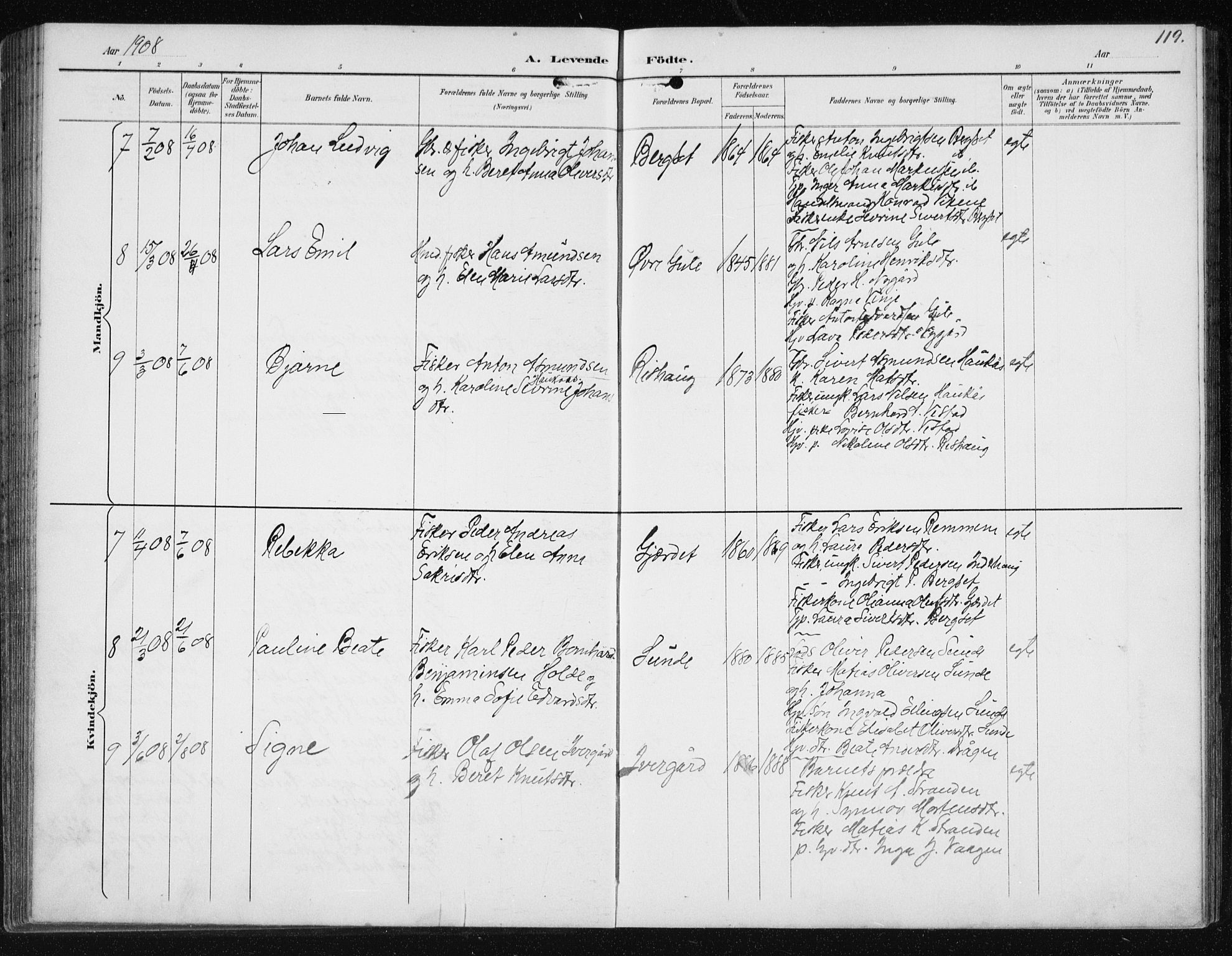 Ministerialprotokoller, klokkerbøker og fødselsregistre - Møre og Romsdal, AV/SAT-A-1454/566/L0773: Parish register (copy) no. 566C02, 1892-1909, p. 119