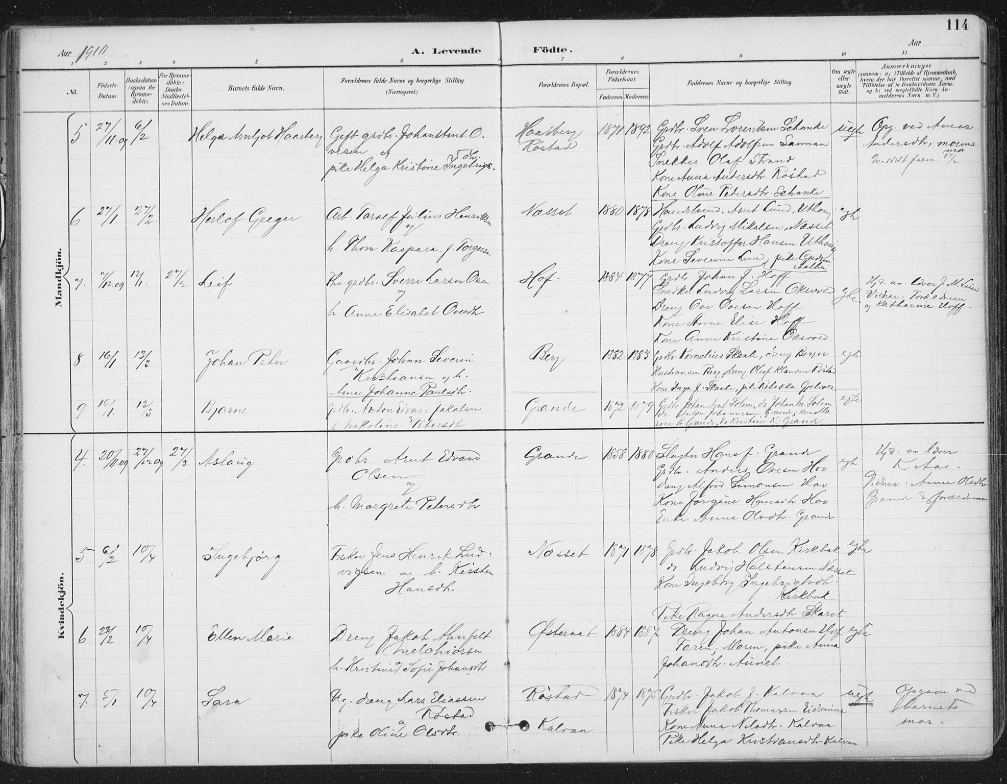 Ministerialprotokoller, klokkerbøker og fødselsregistre - Sør-Trøndelag, SAT/A-1456/659/L0743: Parish register (official) no. 659A13, 1893-1910, p. 114