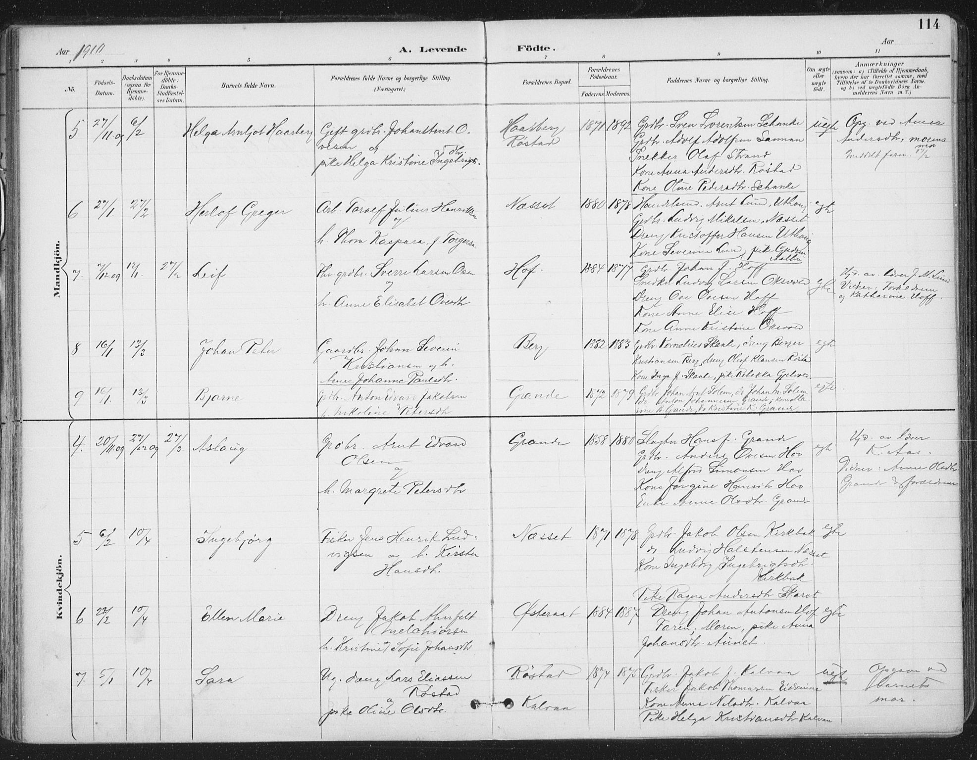 Ministerialprotokoller, klokkerbøker og fødselsregistre - Sør-Trøndelag, AV/SAT-A-1456/659/L0743: Parish register (official) no. 659A13, 1893-1910, p. 114