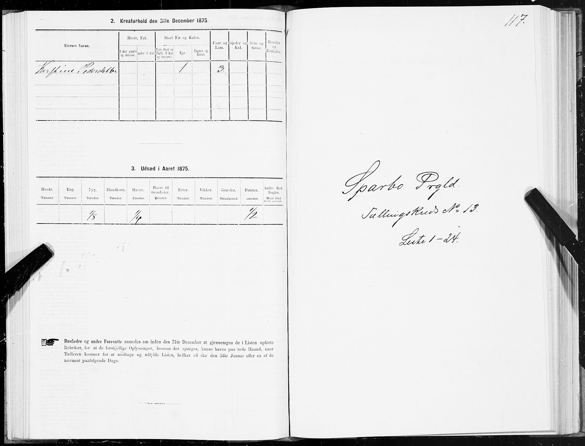 SAT, 1875 census for 1731P Sparbu, 1875, p. 5117