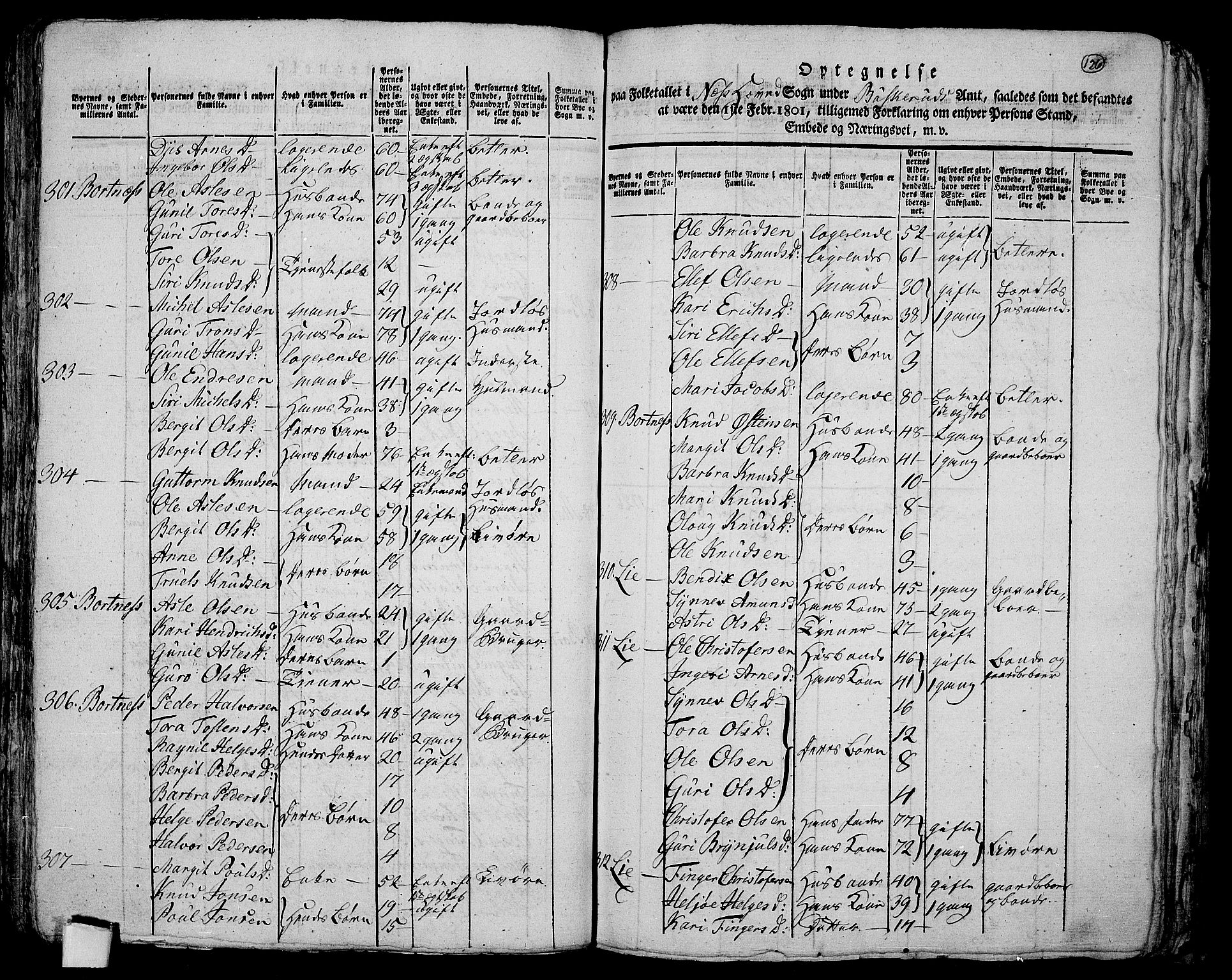 RA, 1801 census for 0616P Nes, 1801, p. 125b-126a