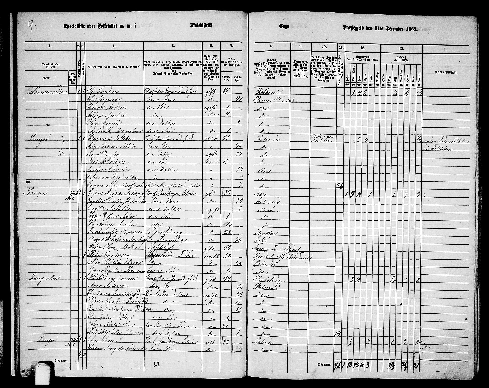 RA, 1865 census for Nærøy, 1865, p. 19