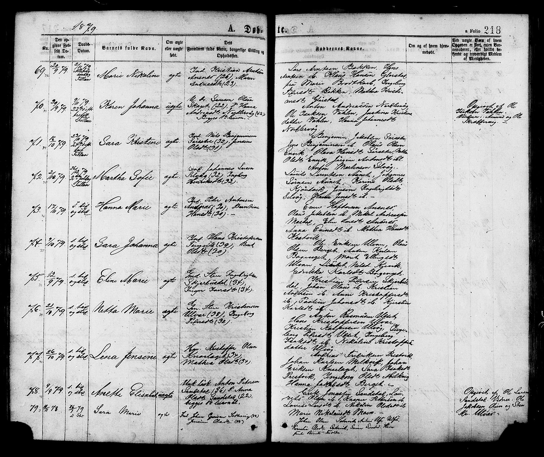 Ministerialprotokoller, klokkerbøker og fødselsregistre - Sør-Trøndelag, SAT/A-1456/634/L0532: Parish register (official) no. 634A08, 1871-1881, p. 218