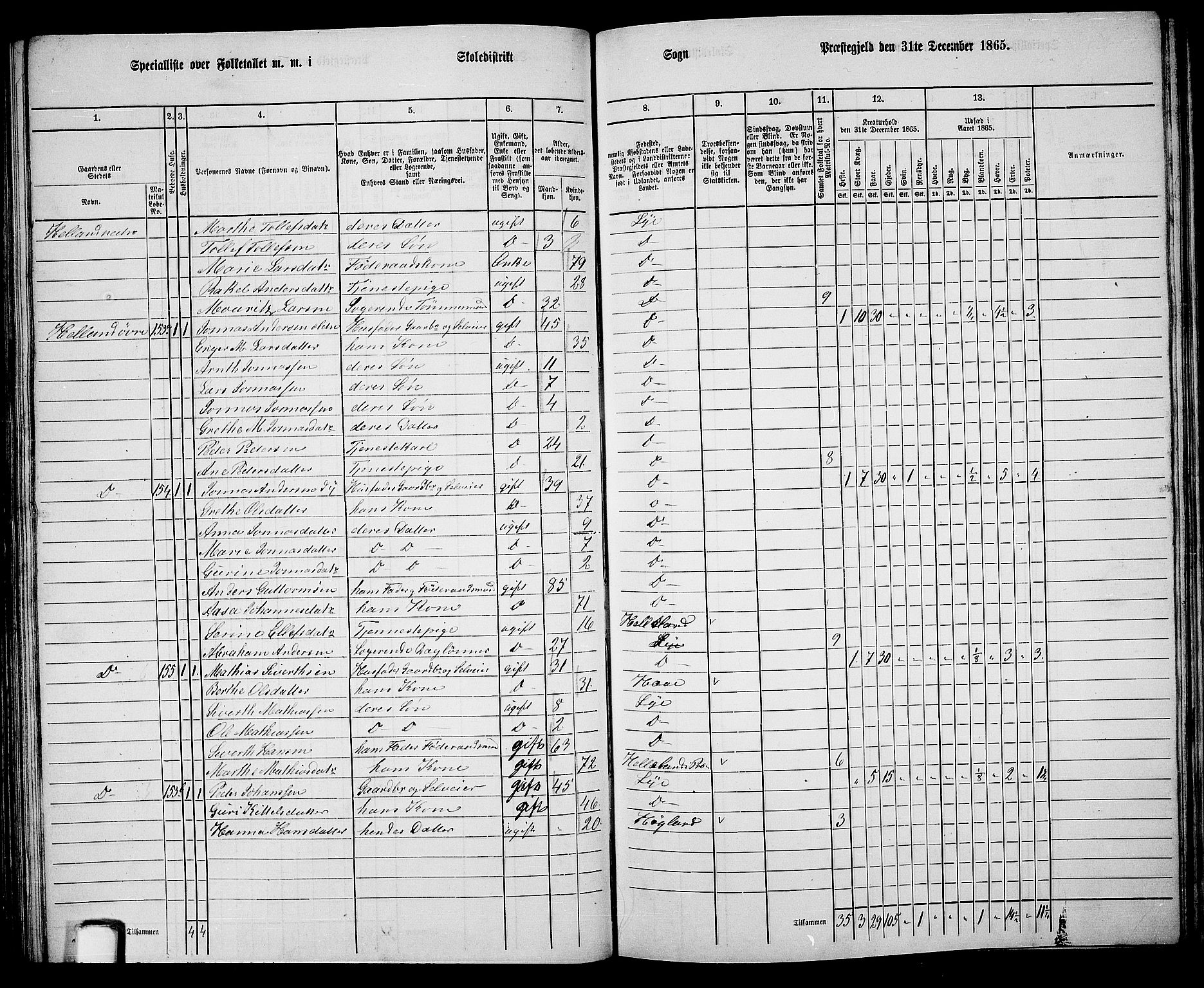 RA, 1865 census for Lye, 1865, p. 98