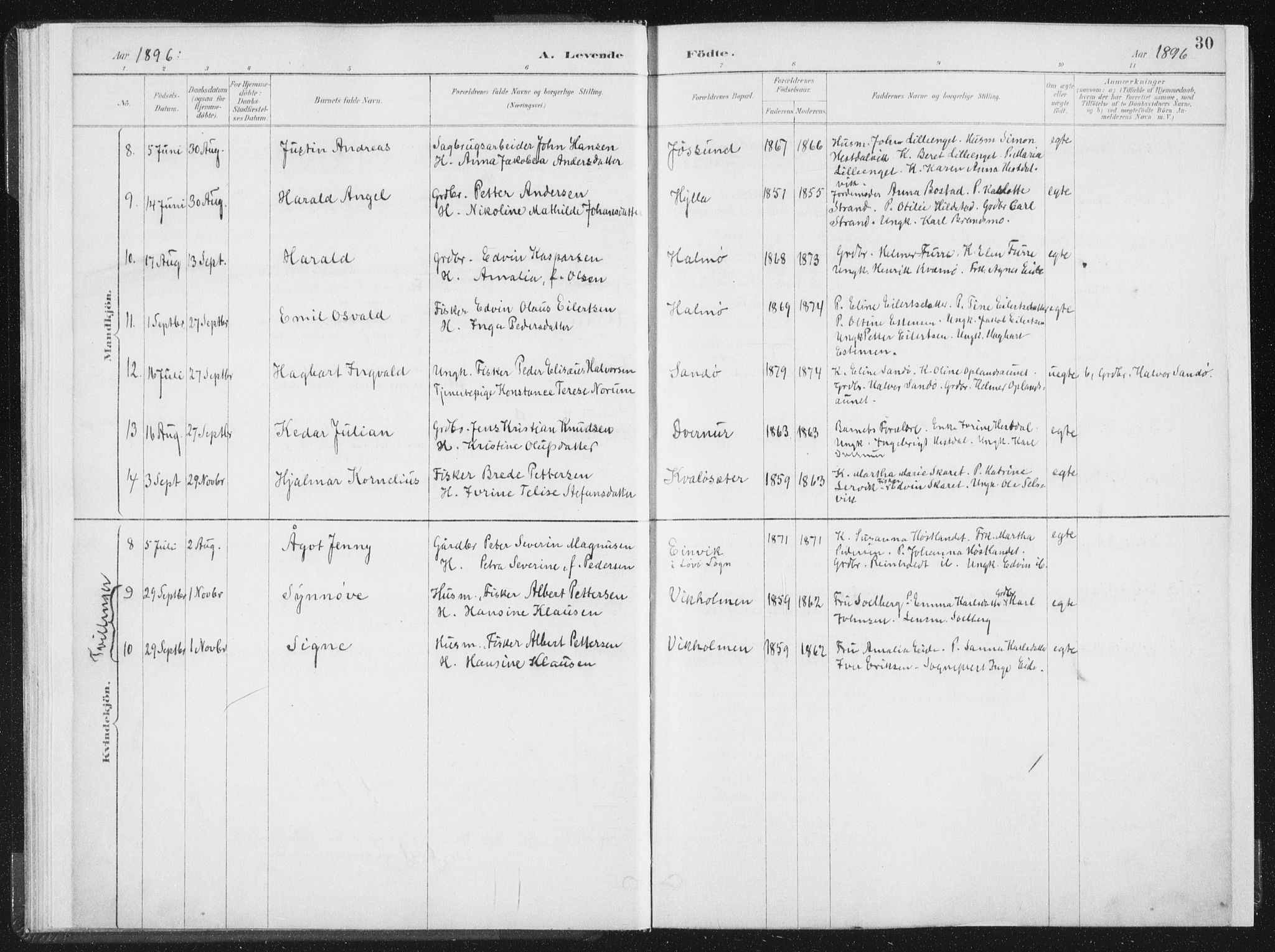 Ministerialprotokoller, klokkerbøker og fødselsregistre - Nord-Trøndelag, SAT/A-1458/771/L0597: Parish register (official) no. 771A04, 1885-1910, p. 30