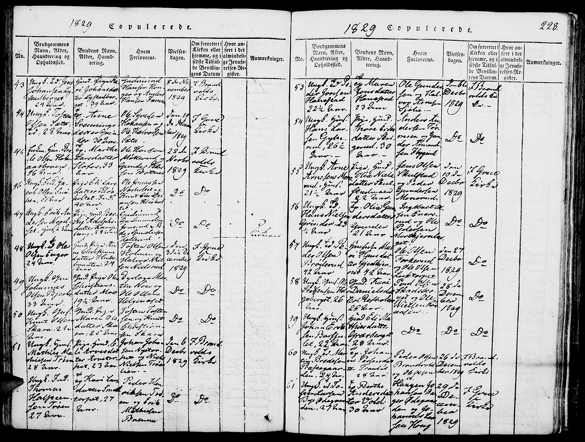 Grue prestekontor, AV/SAH-PREST-036/H/Ha/Haa/L0006: Parish register (official) no. 6, 1814-1830, p. 228