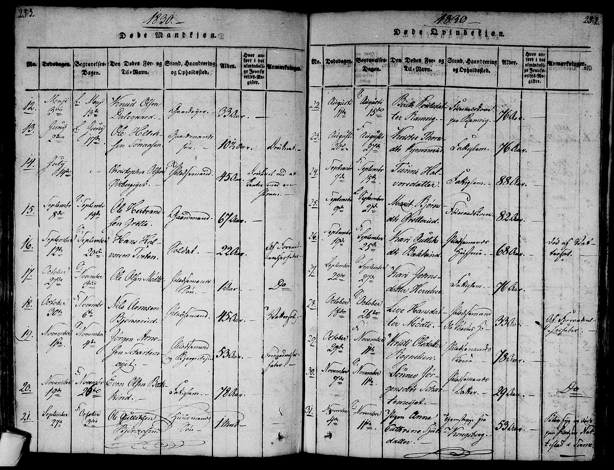 Flesberg kirkebøker, AV/SAKO-A-18/F/Fa/L0005: Parish register (official) no. I 5, 1816-1834, p. 253-254