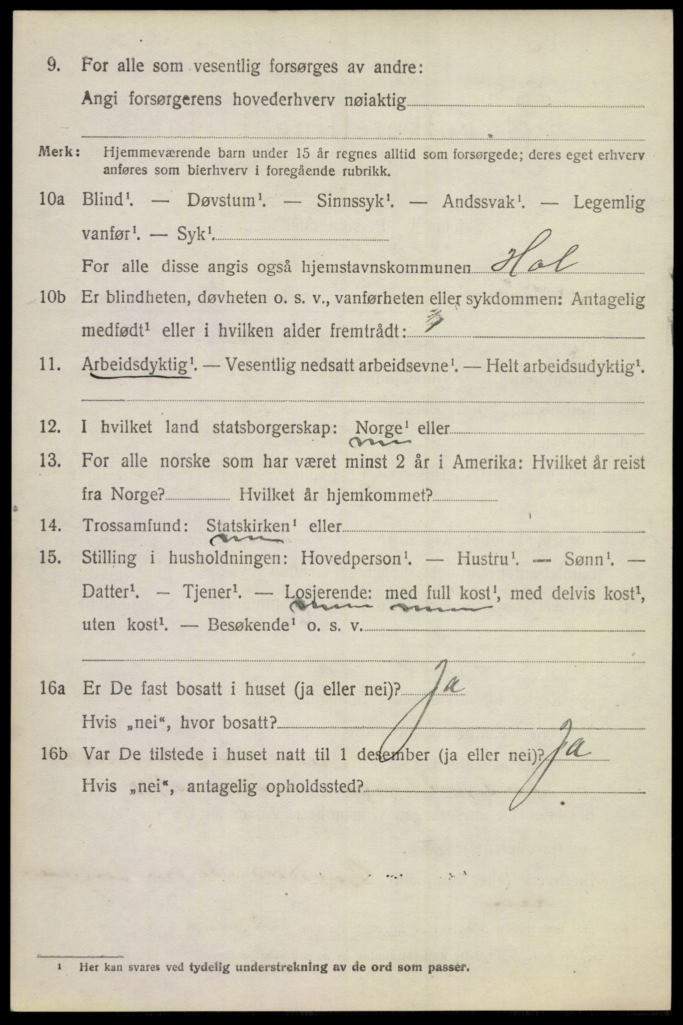 SAKO, 1920 census for Hol (Buskerud), 1920, p. 3792