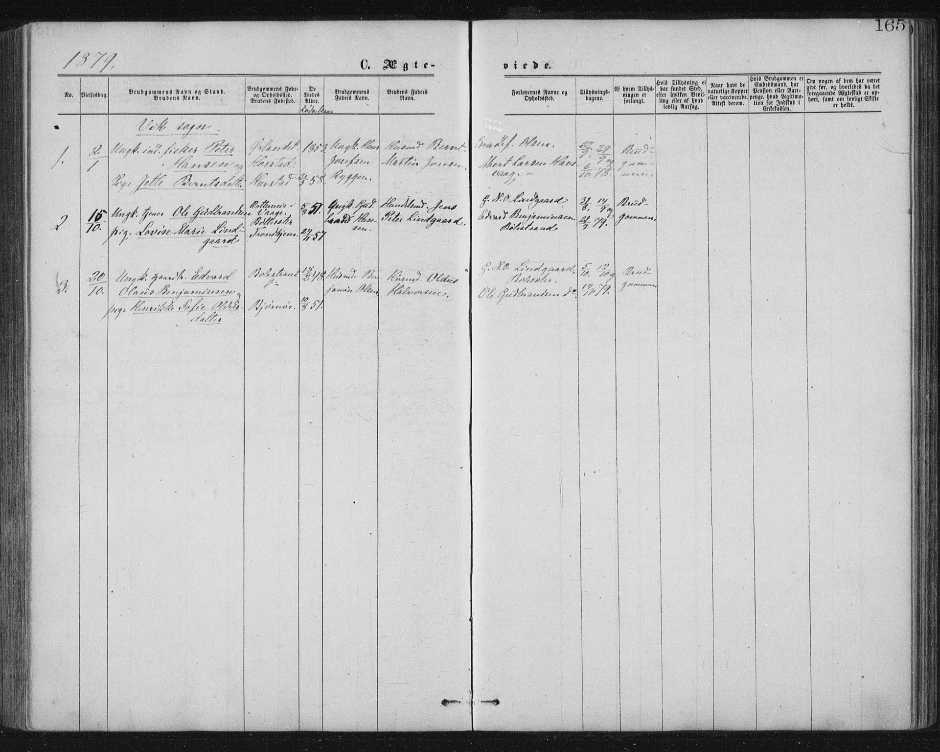 Ministerialprotokoller, klokkerbøker og fødselsregistre - Nord-Trøndelag, SAT/A-1458/771/L0596: Parish register (official) no. 771A03, 1870-1884, p. 165