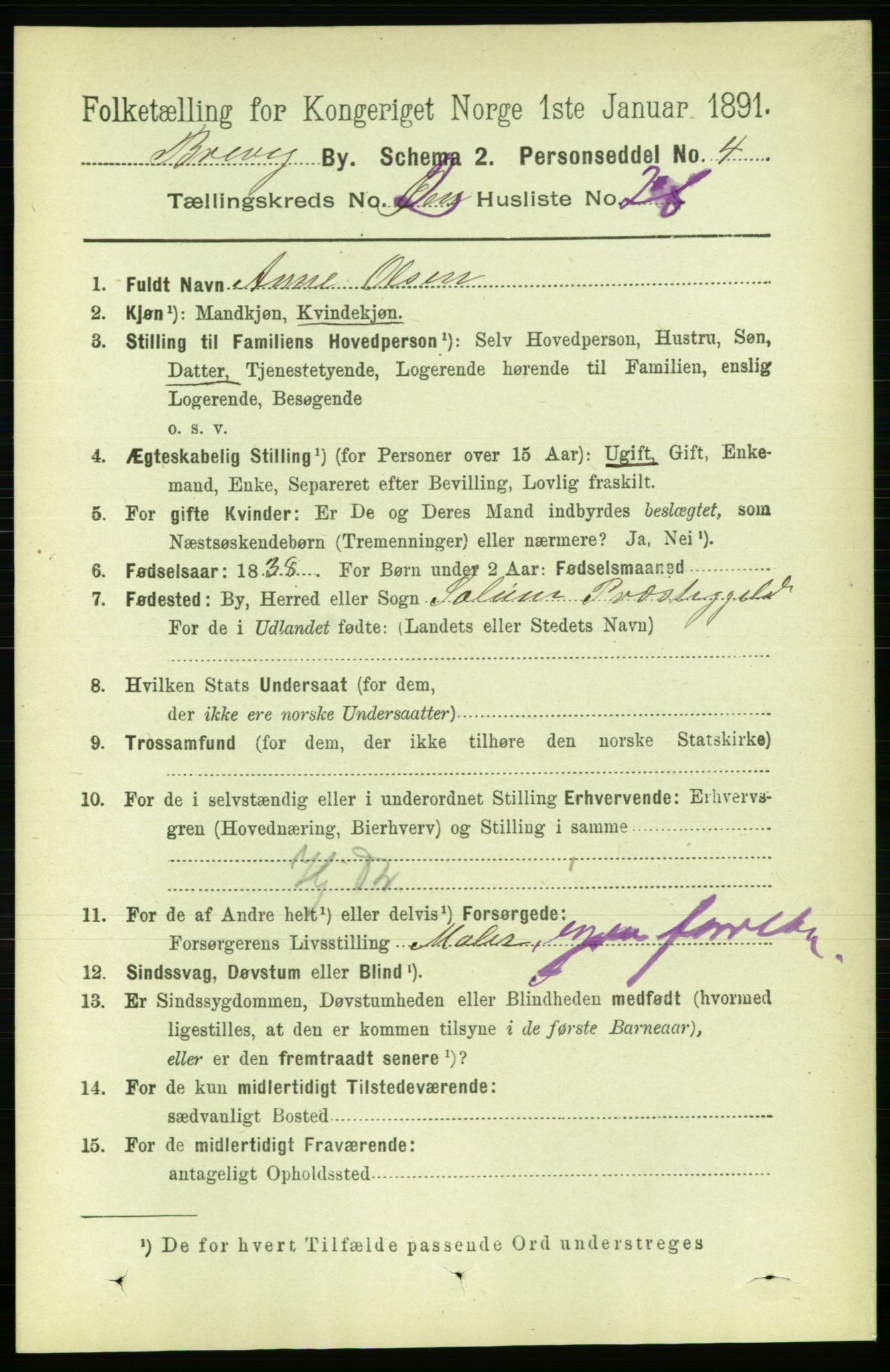 RA, 1891 census for 0804 Brevik, 1891, p. 1775