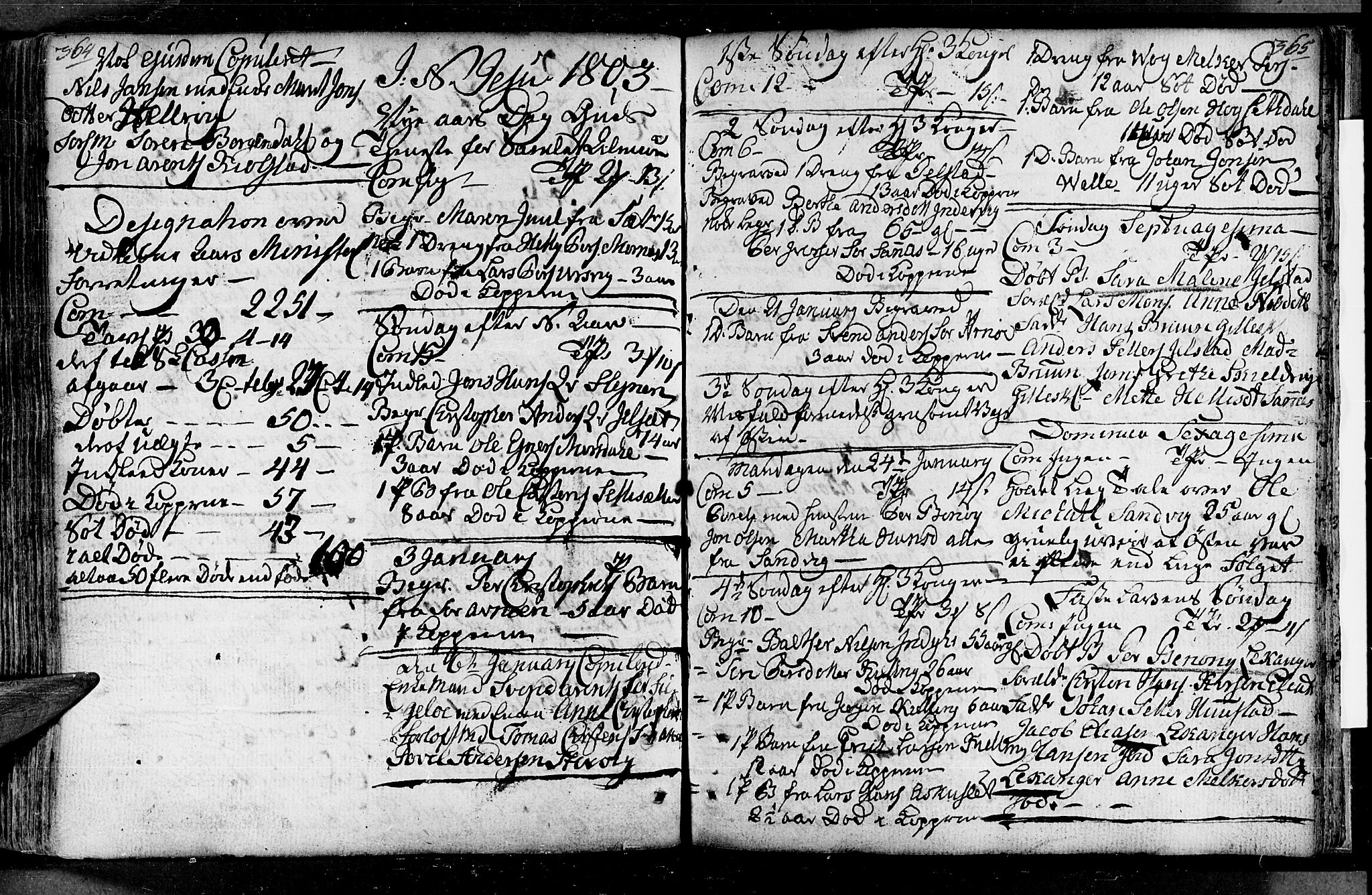 Ministerialprotokoller, klokkerbøker og fødselsregistre - Nordland, AV/SAT-A-1459/805/L0094: Parish register (official) no. 805A01, 1773-1804, p. 364-365