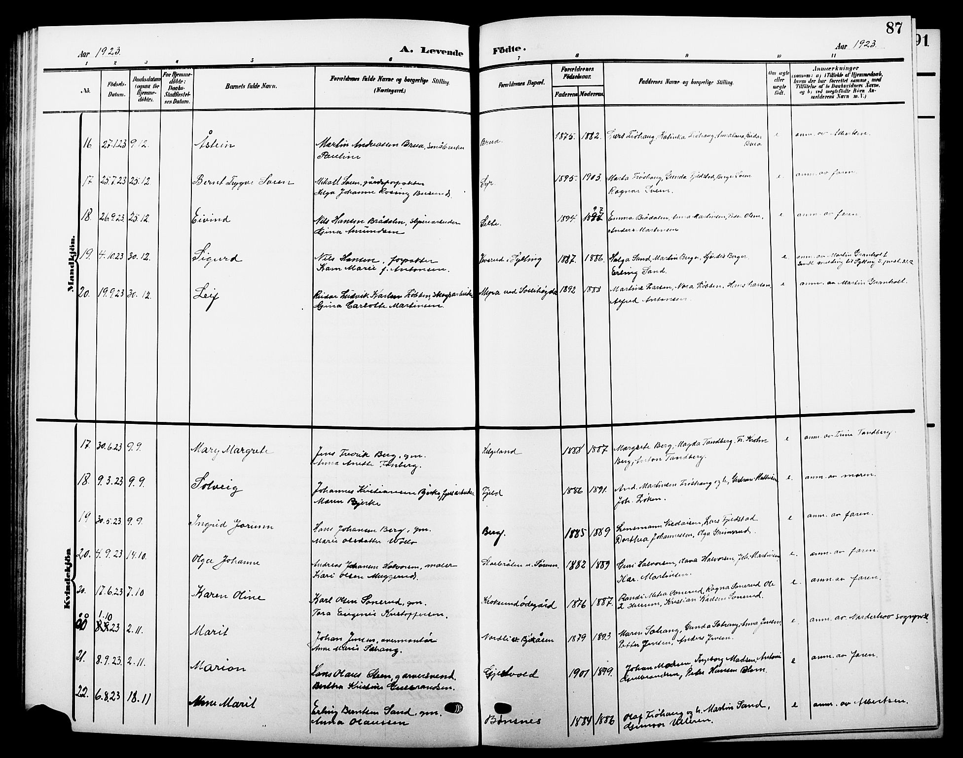 Hole kirkebøker, AV/SAKO-A-228/G/Ga/L0004: Parish register (copy) no. I 4, 1905-1924, p. 87