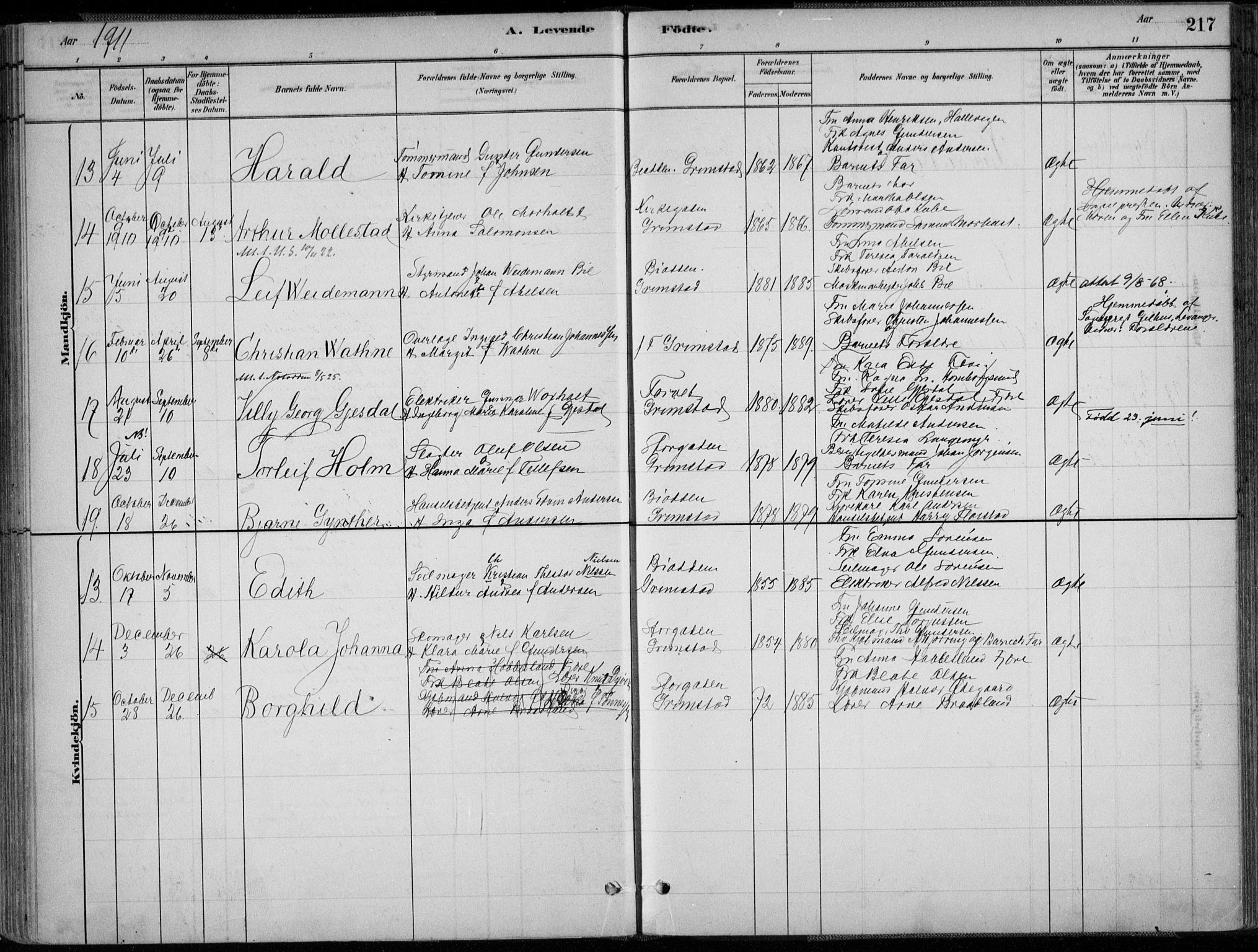 Grimstad sokneprestkontor, SAK/1111-0017/F/Fa/L0003: Parish register (official) no. A 2, 1882-1912, p. 217