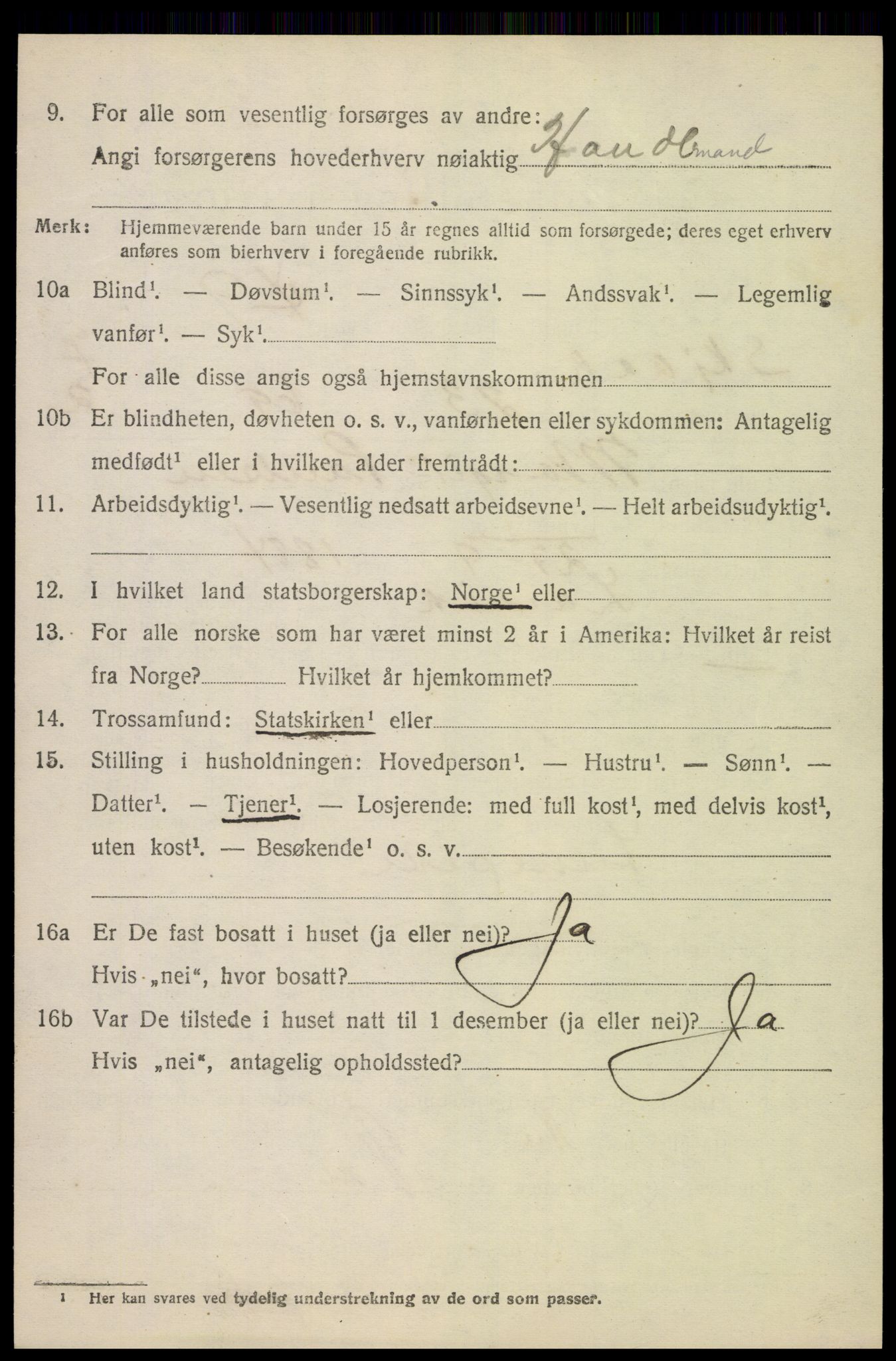 SAH, 1920 census for Skjåk, 1920, p. 3709