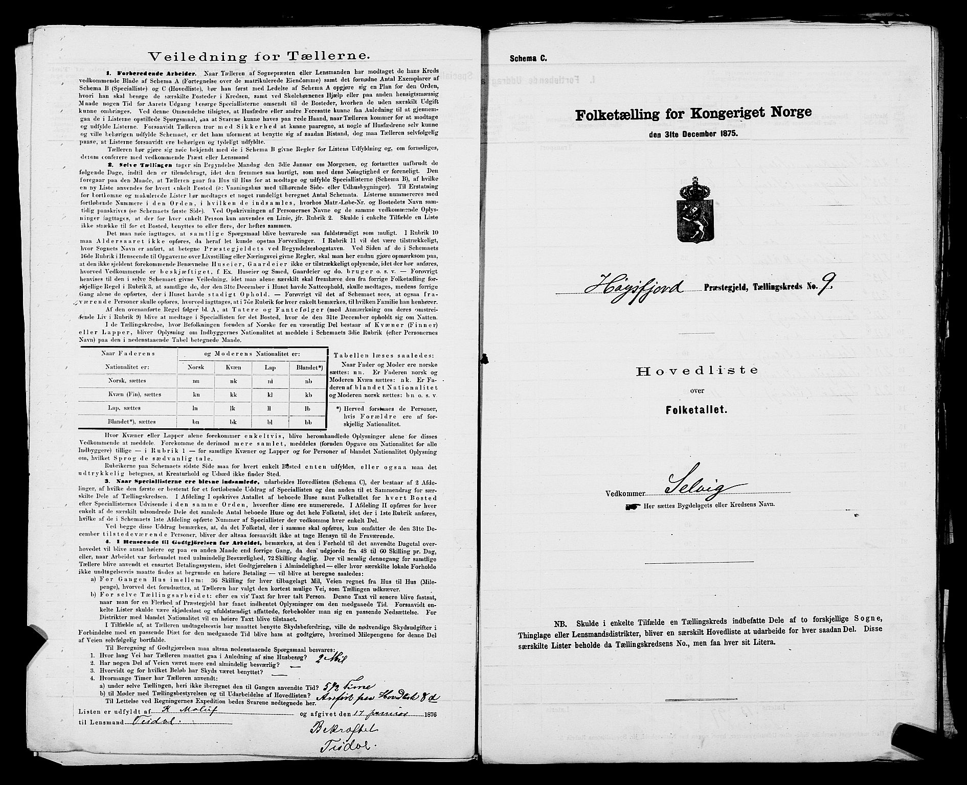 SAST, 1875 census for 1128P Høgsfjord, 1875, p. 47