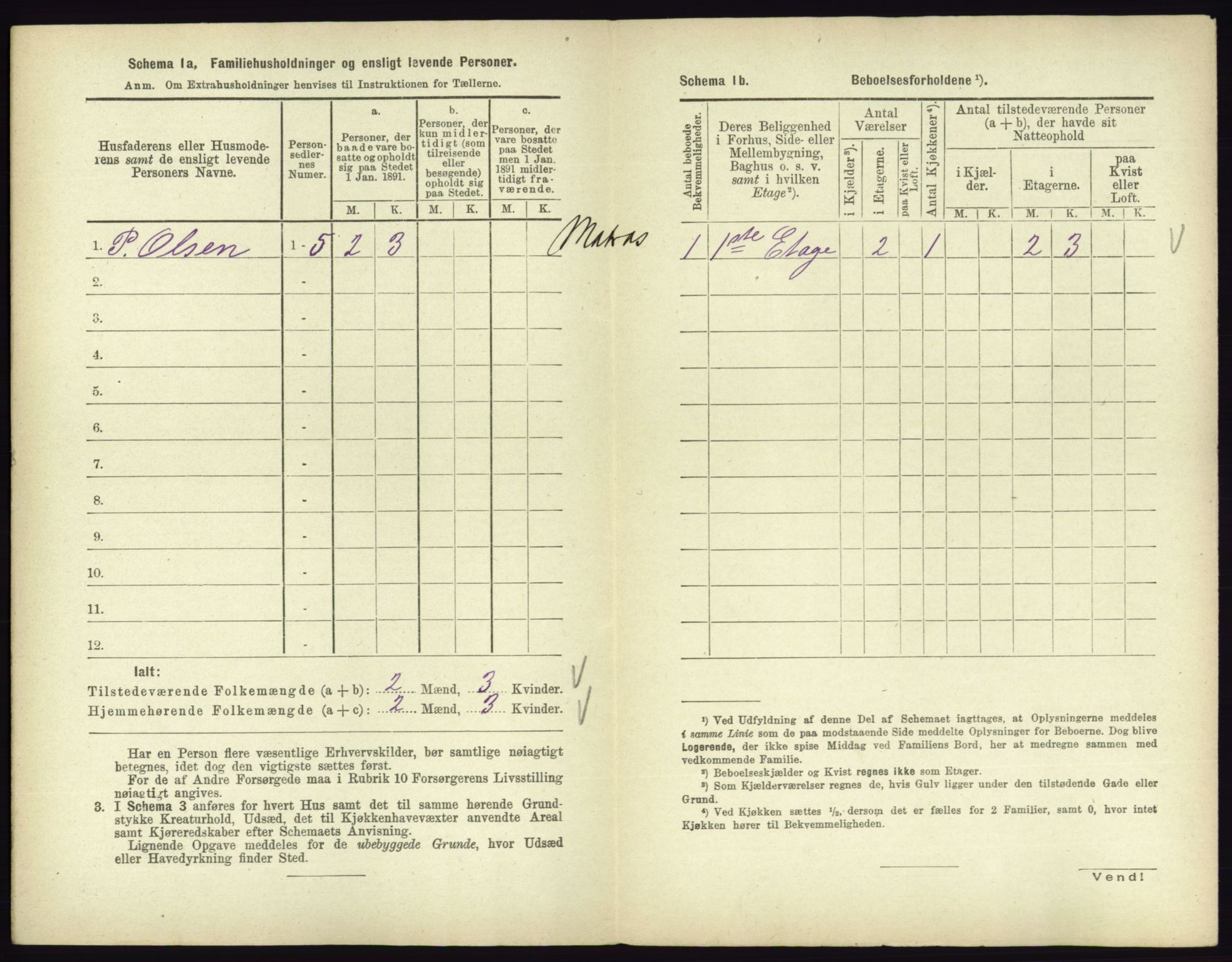 RA, 1891 census for 0701 Svelvik, 1891, p. 545