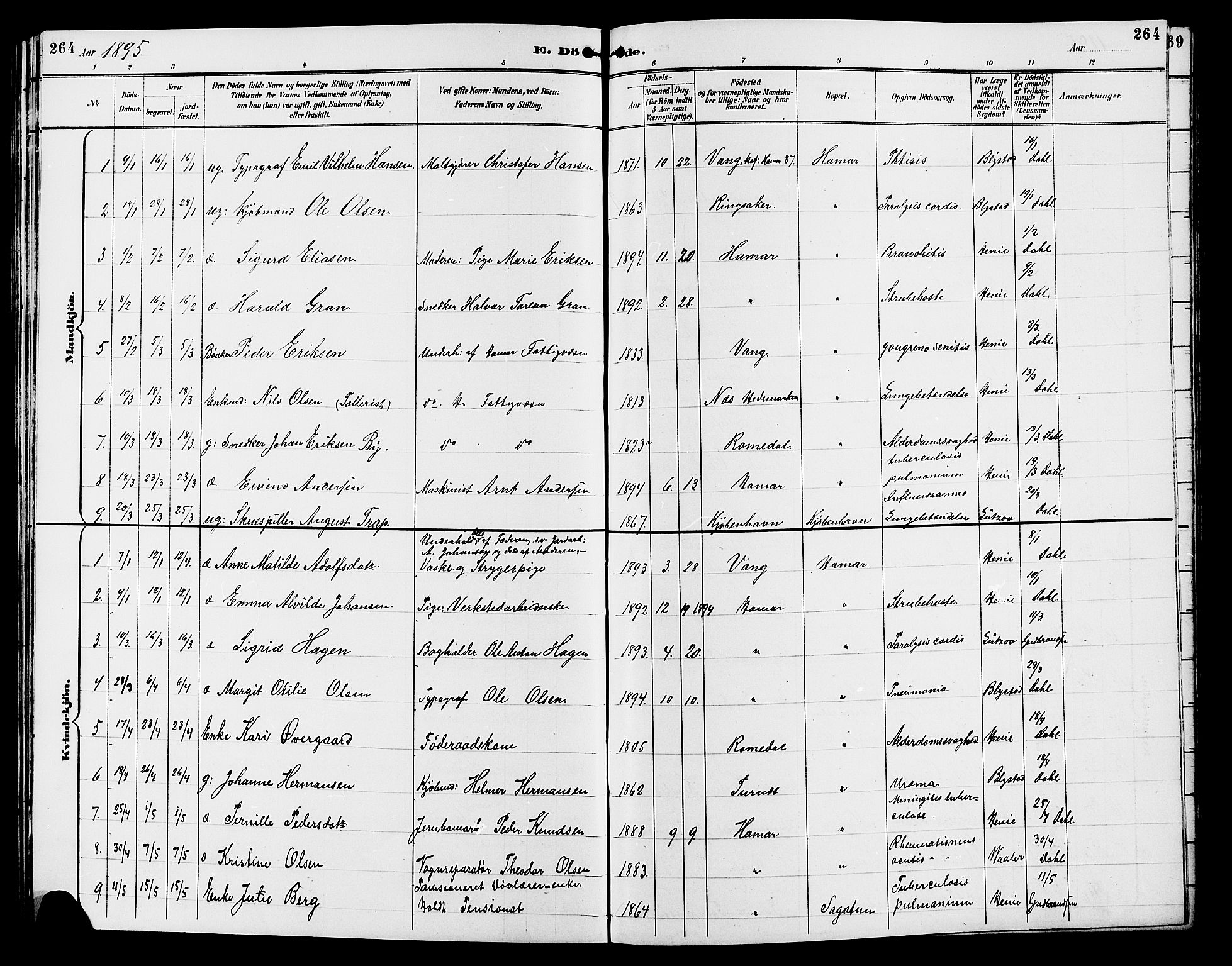 Vang prestekontor, Hedmark, SAH/PREST-008/H/Ha/Hab/L0013: Parish register (copy) no. 13, 1890-1899, p. 264