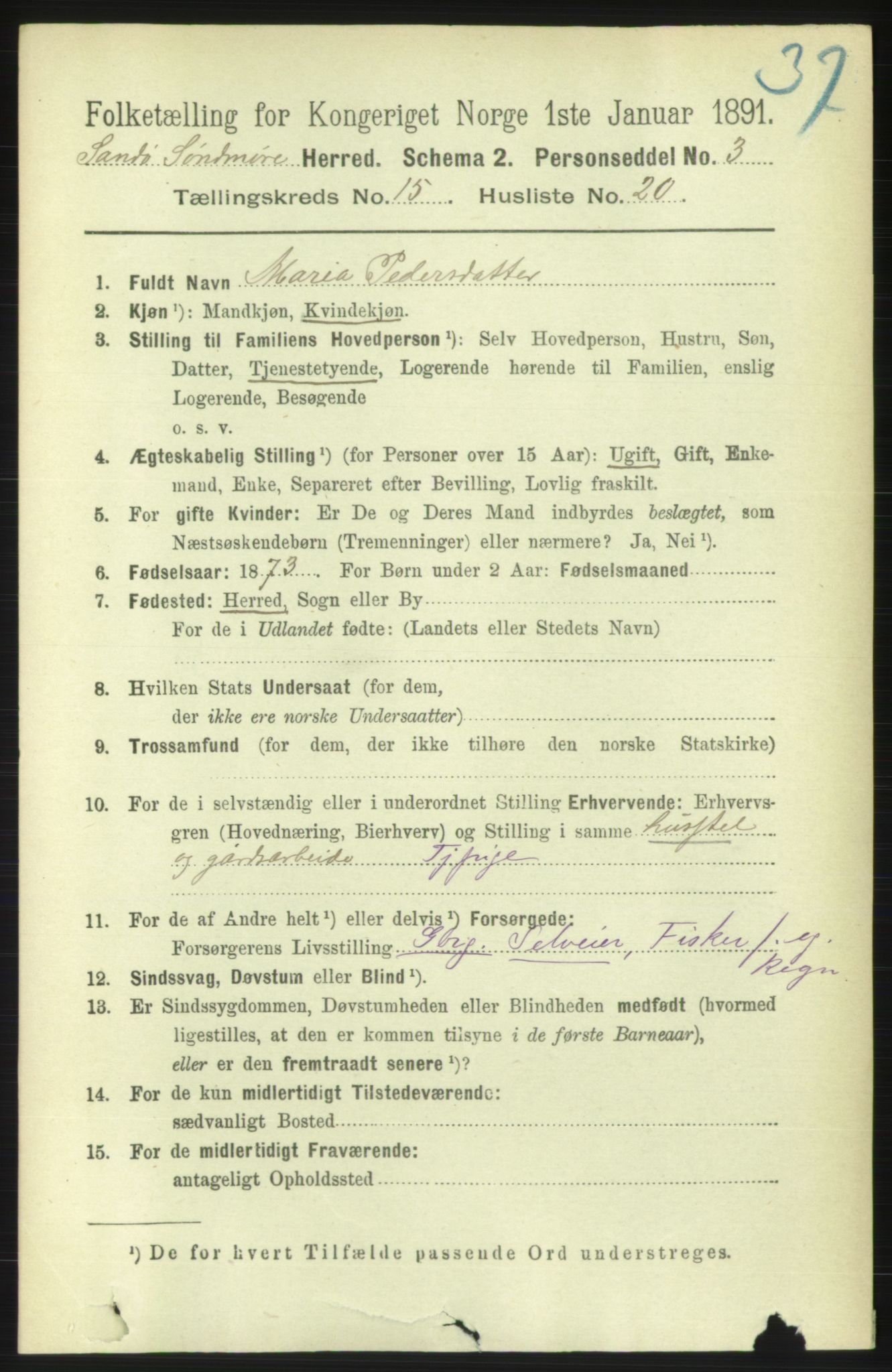 RA, 1891 census for 1514 Sande, 1891, p. 3136